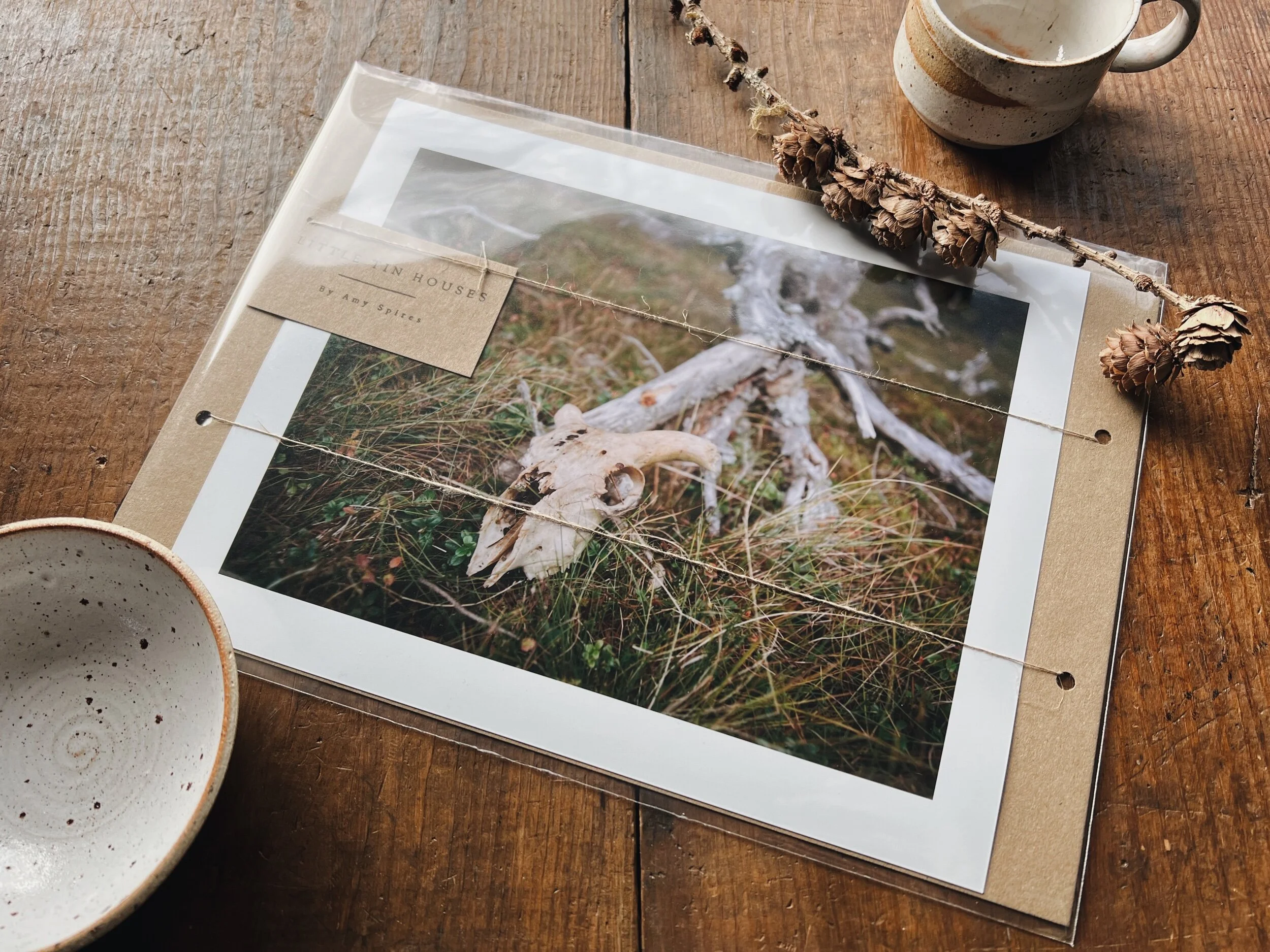 5D1F5300-551A-4B59-9CBF-0F1425430ED1