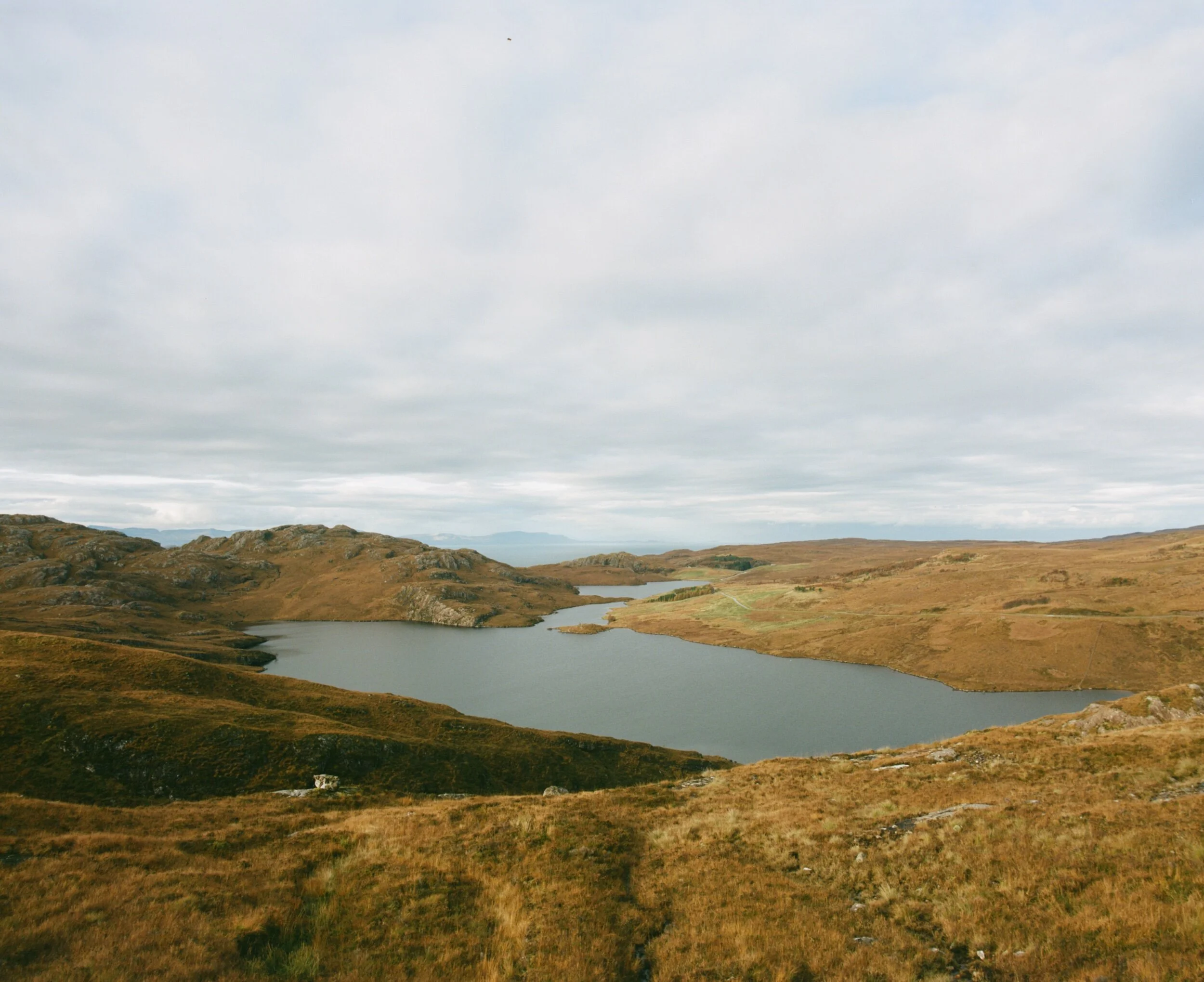 E34E8BE4-413E-4432-A3D0-27C950EA746D