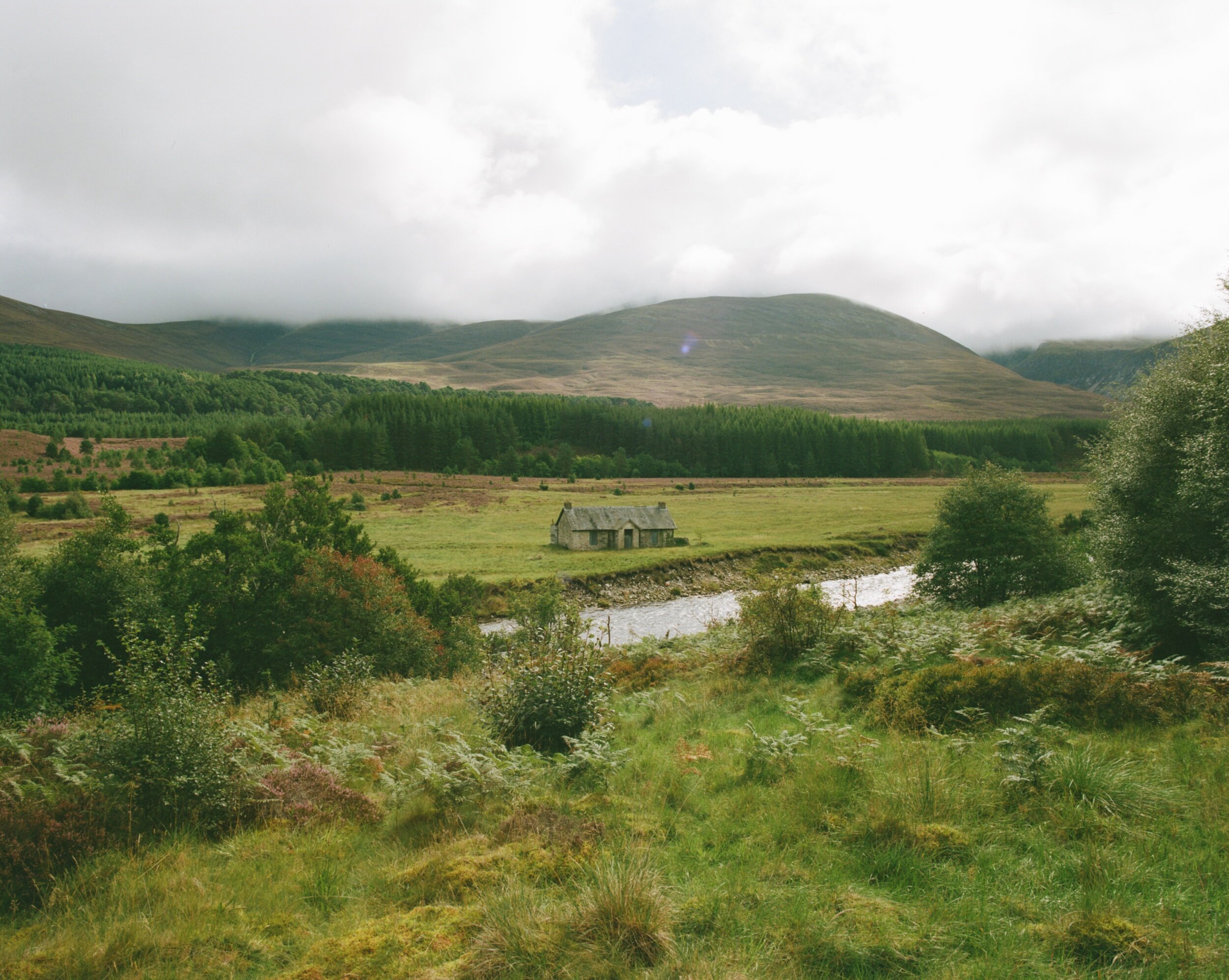 ED8E8C80-DADD-4C2D-B5F4-B3385175A401