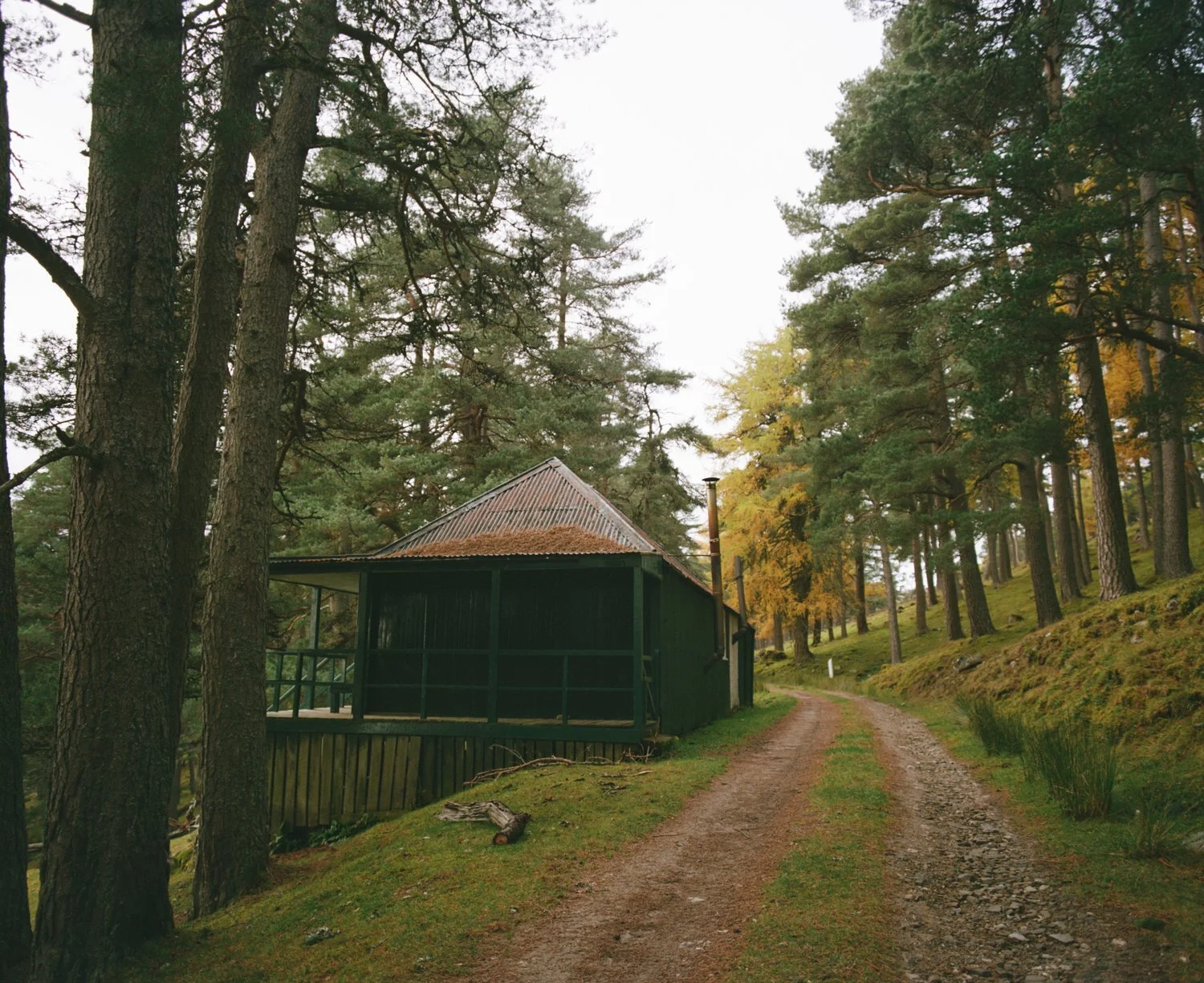 8E686975-1D57-4FB5-9E8E-3D1D3DF0BE0C