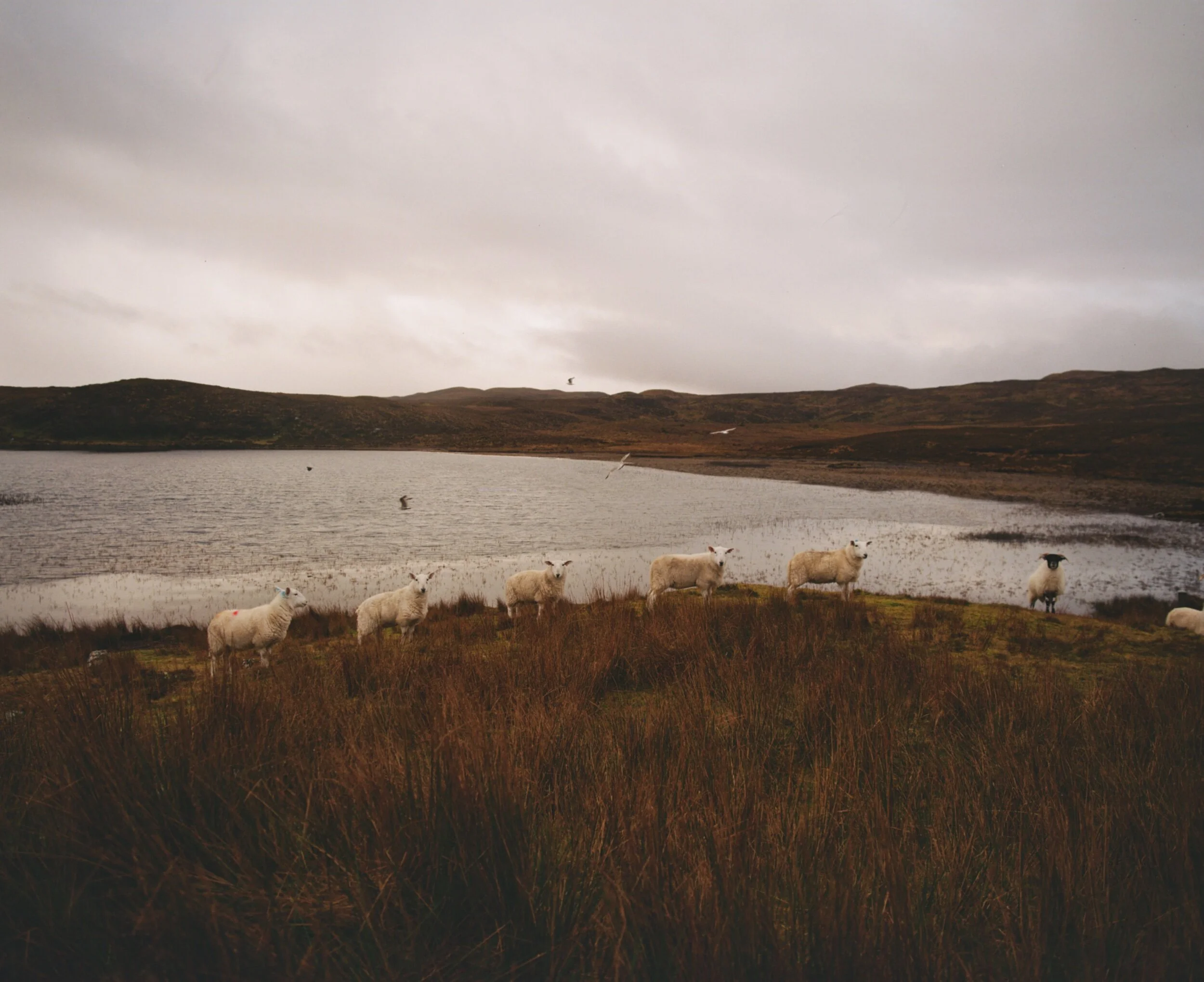 B4B7D8D7-875A-41D4-9CB0-30DA11333CD0