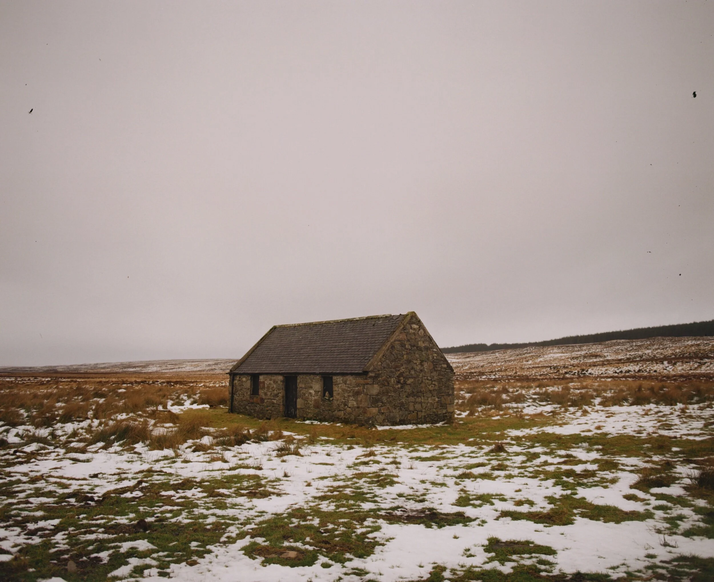 FA82F3DC-E2B4-4D83-8E75-15F242023CF1