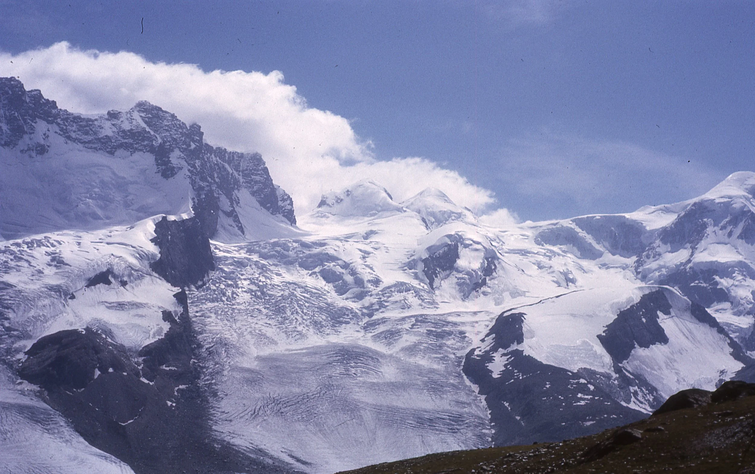 s229.jpg