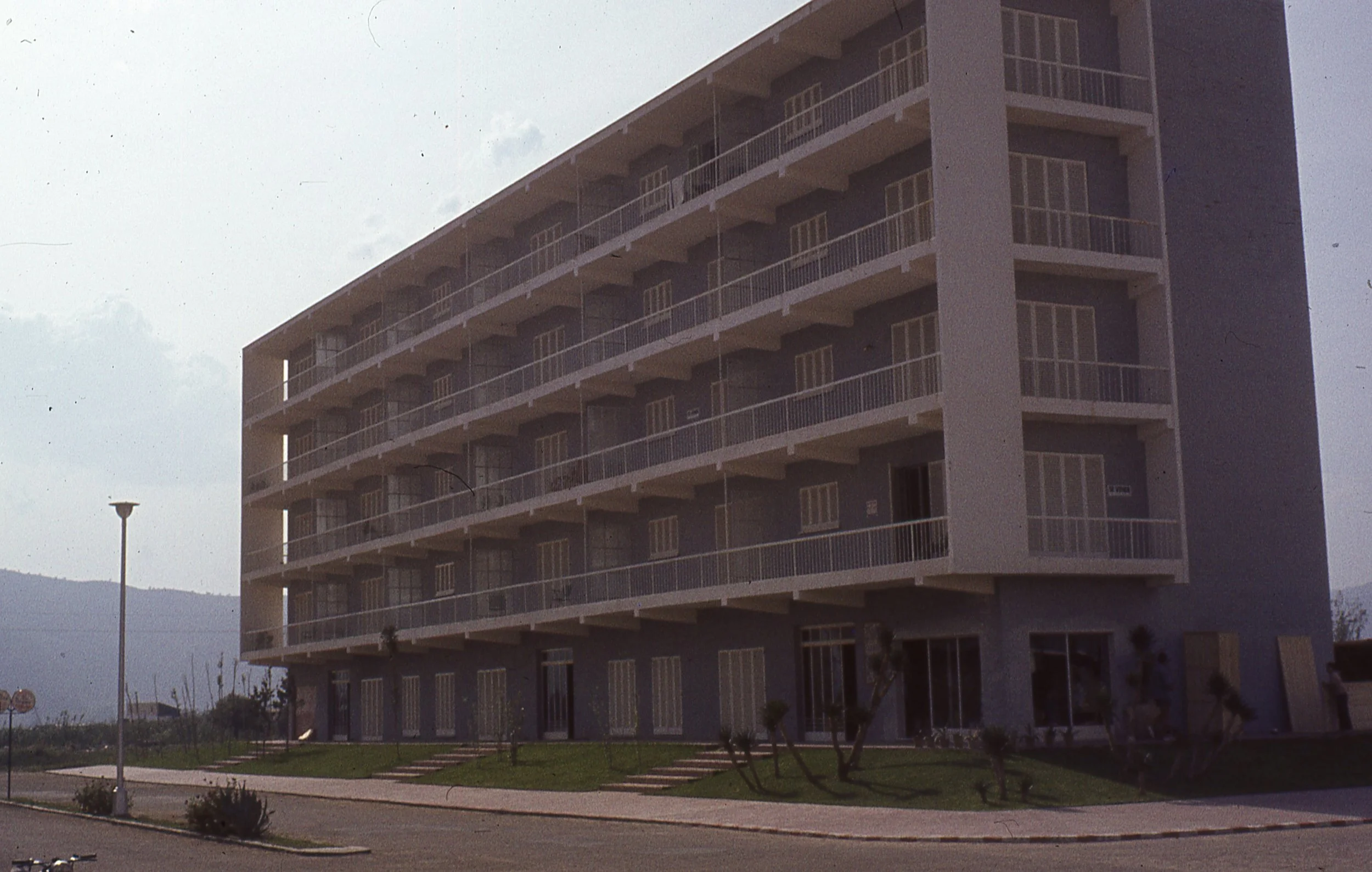 s239.jpg