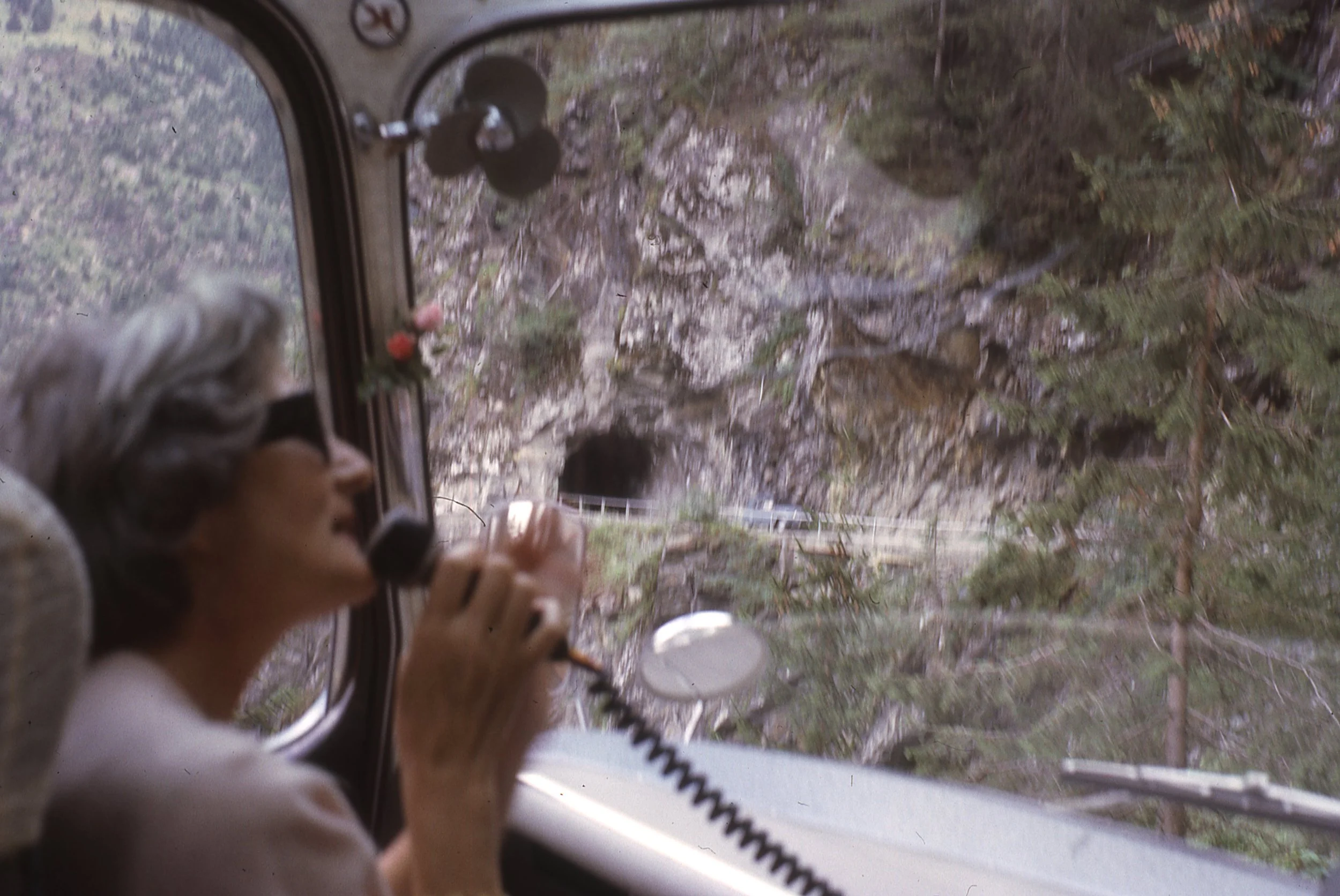 s264.jpg