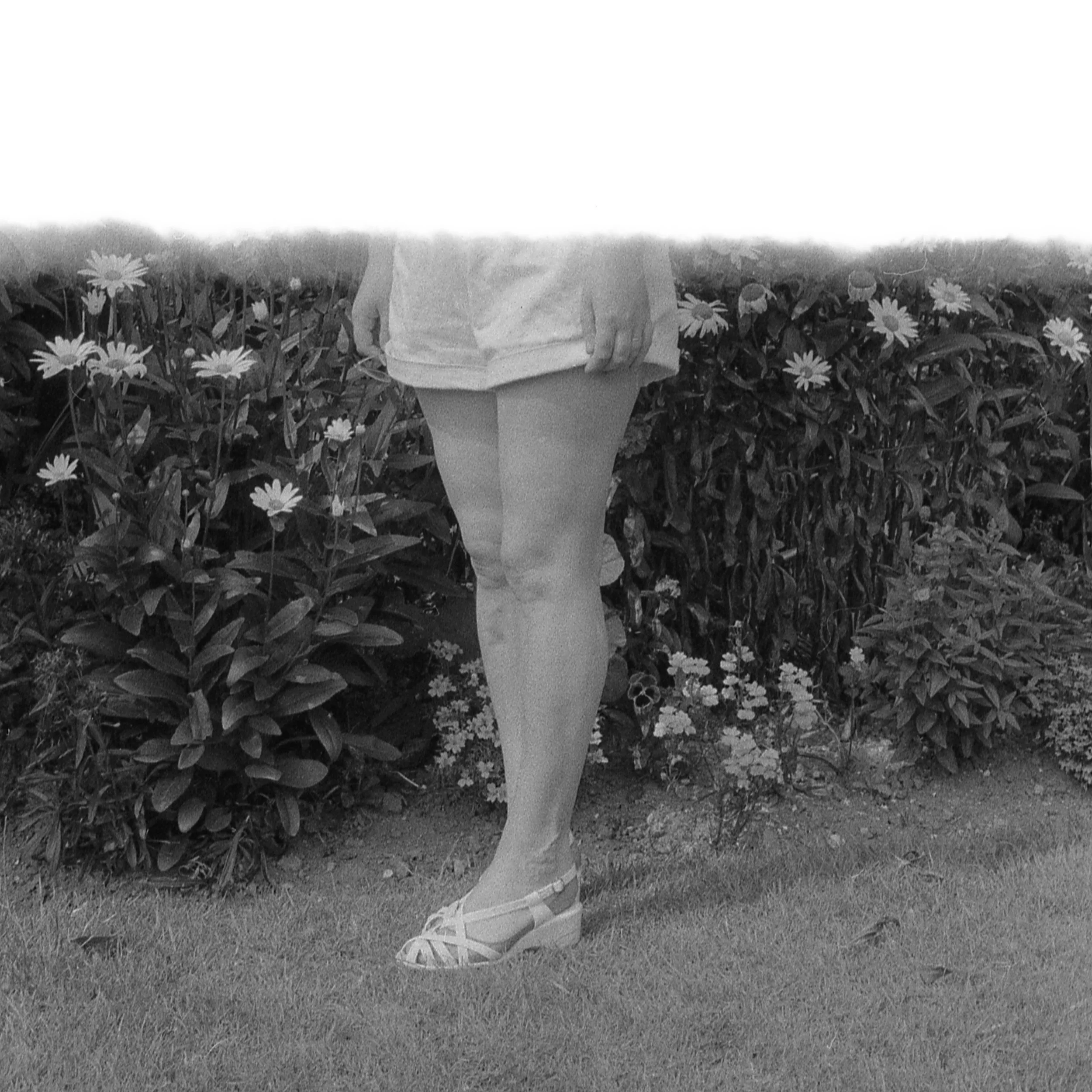 bw10.jpg