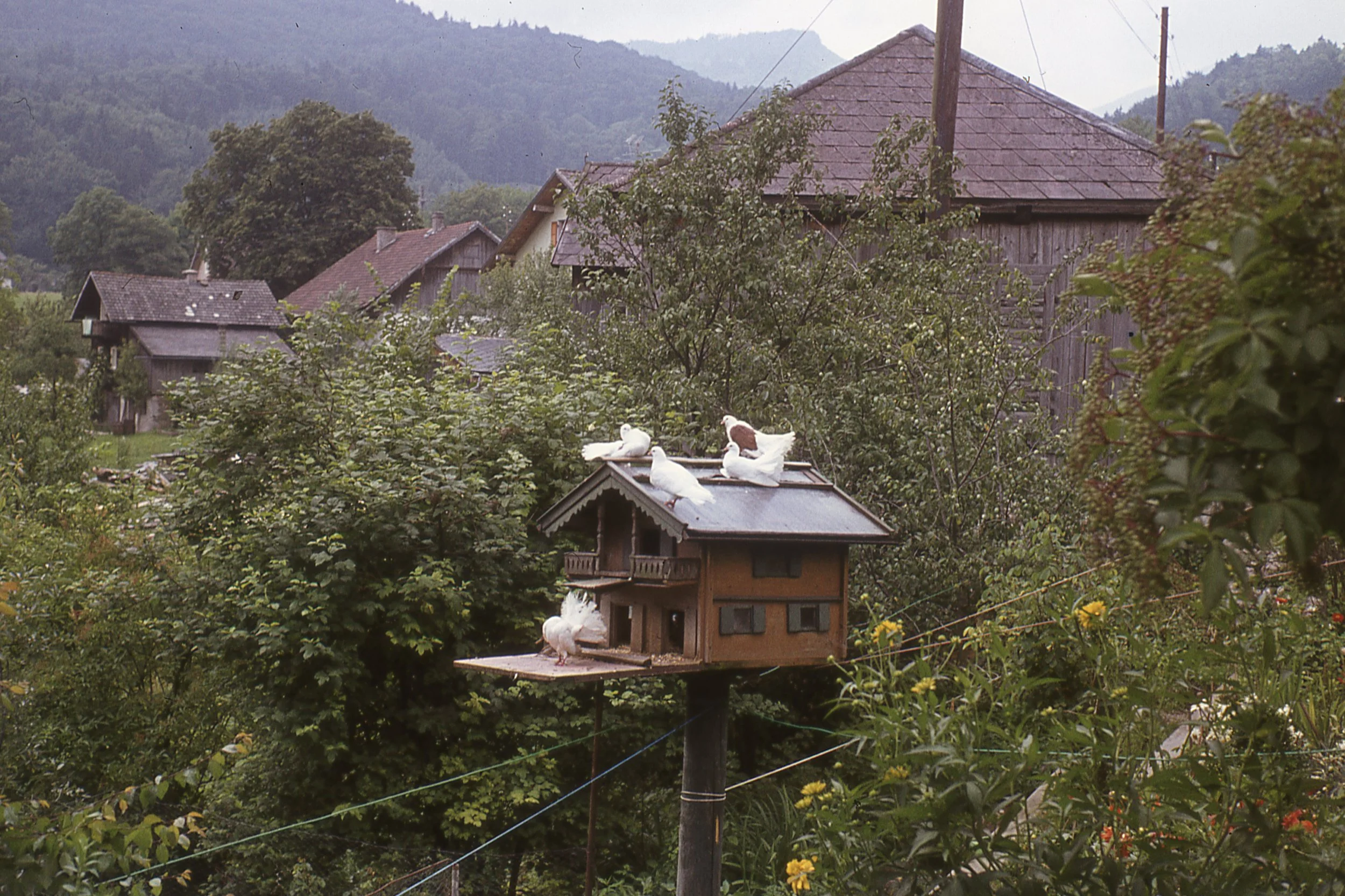 moreford5.jpg
