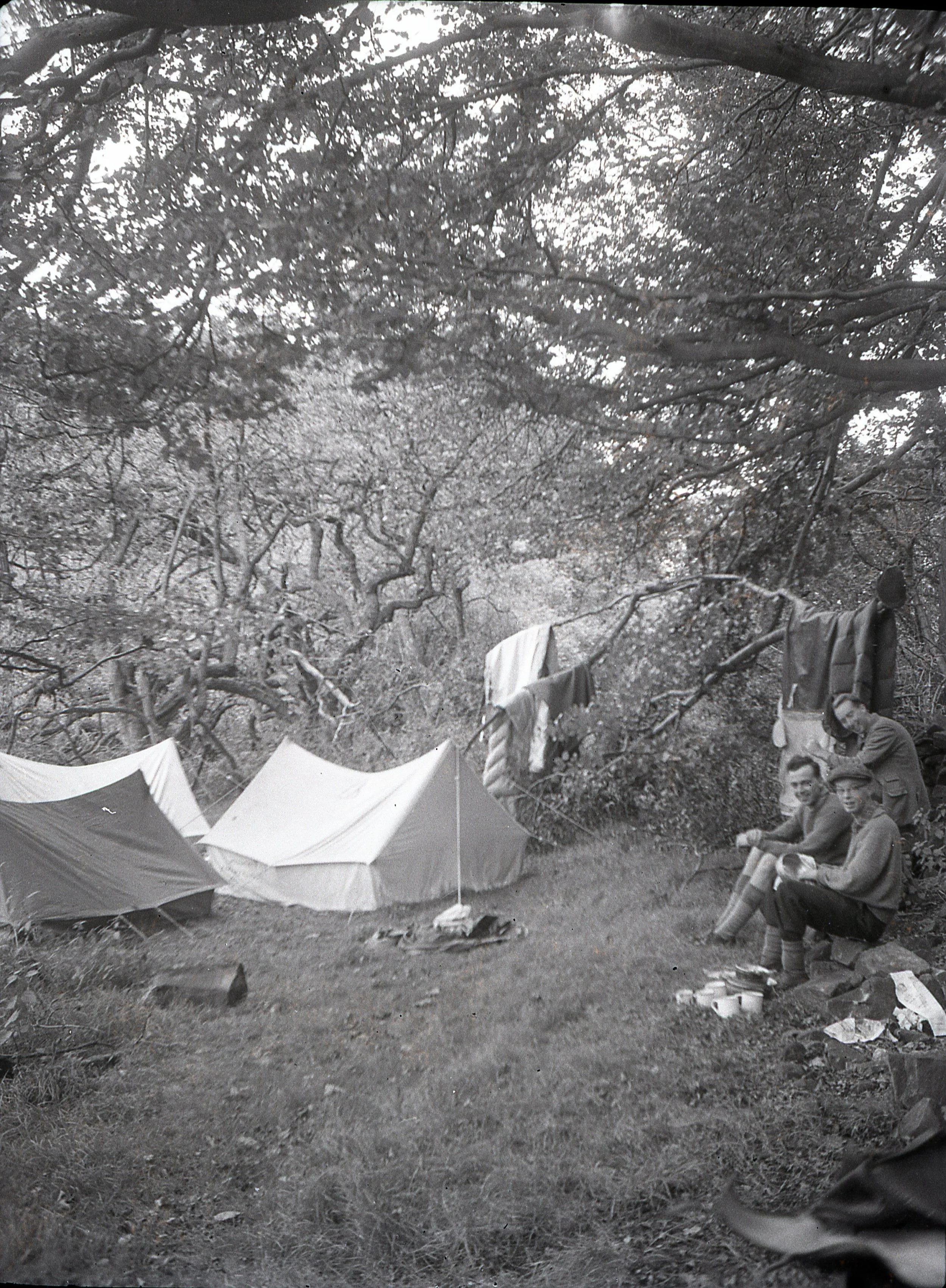img029.jpg