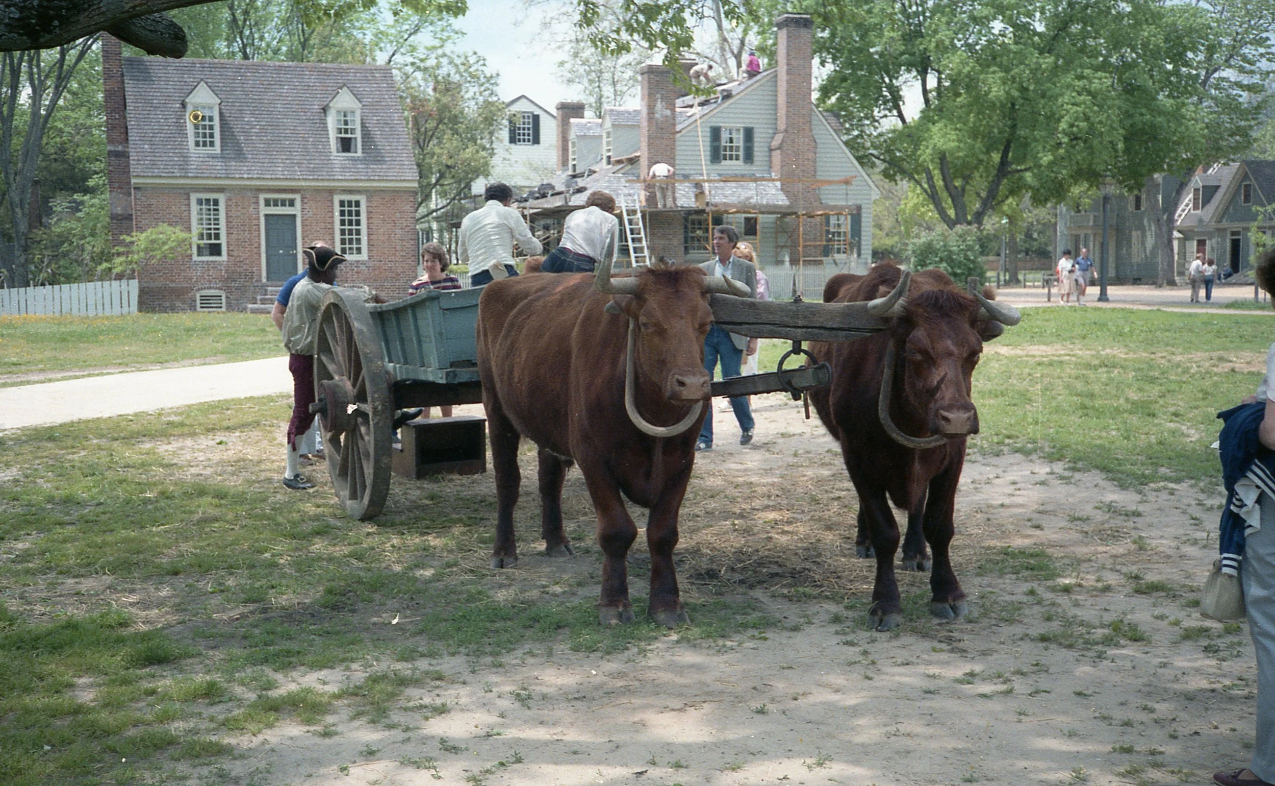 img046.jpg