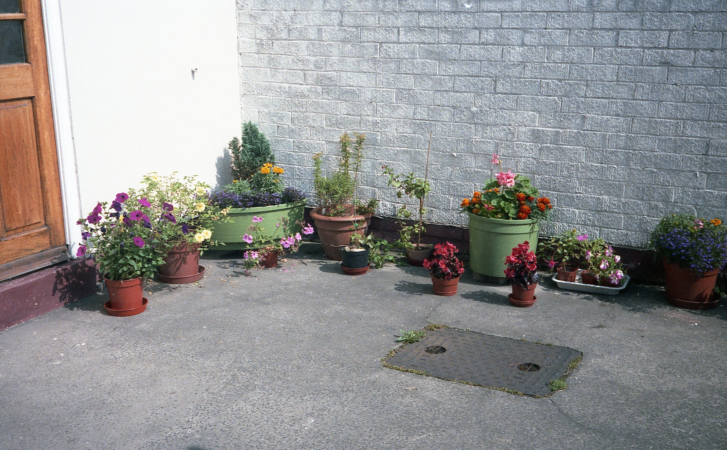 img063.jpg