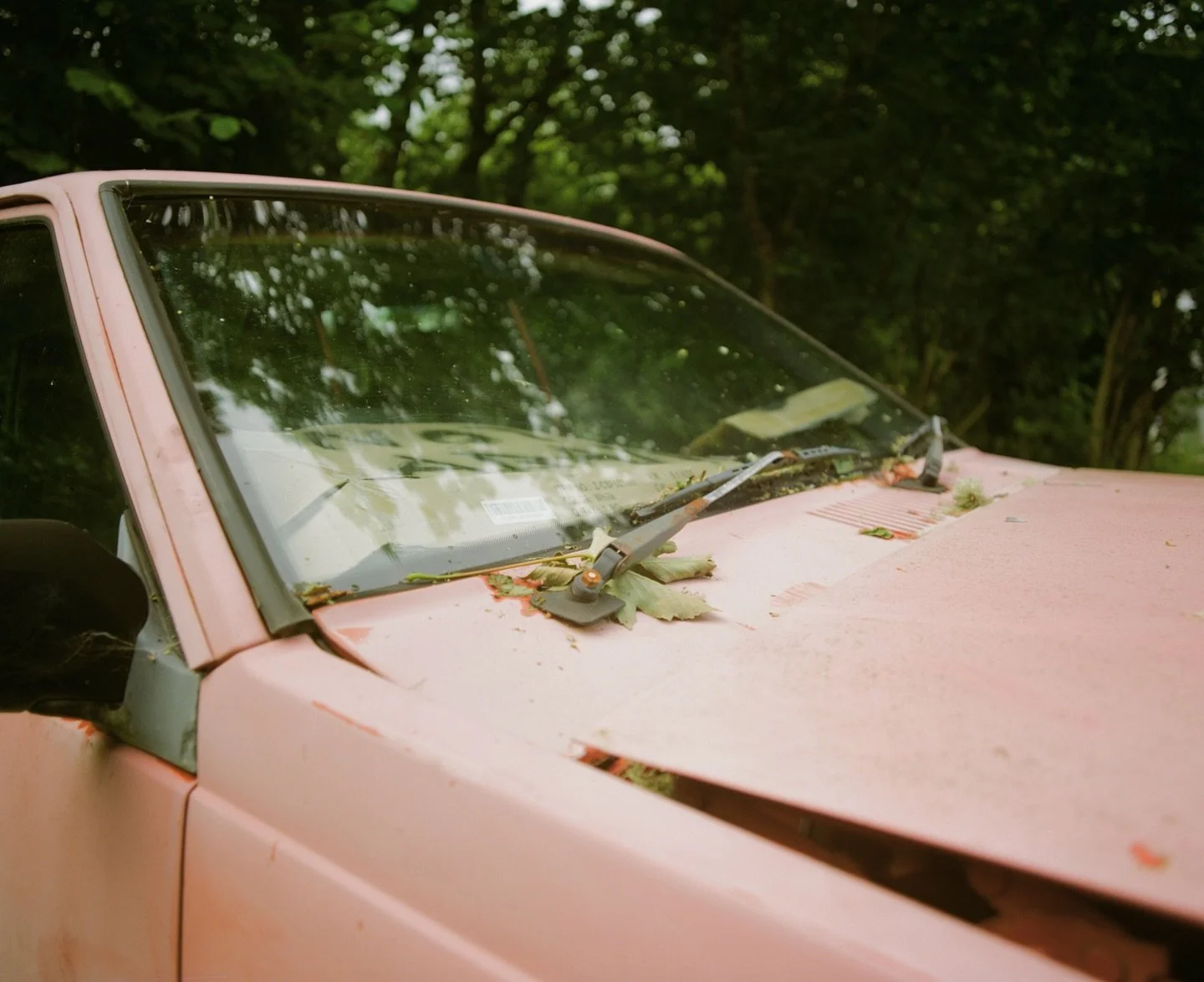 A very abandoned car, with a sign inside saying &lsquo;not abandoned&rsquo;. 
.
.
#shootfilm #abandoned #6x7 #120 #kodakgold #mamiyarz67