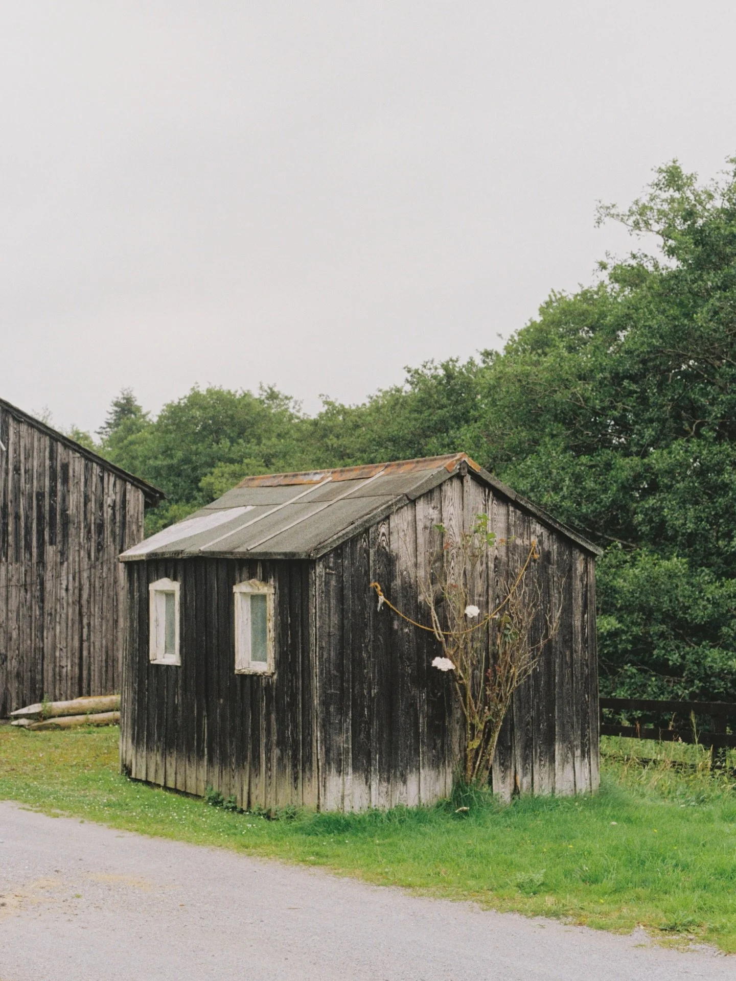 Canal scenes, 35mm.
.
.
#35mm #shootfilm #kodakgold #olympusom10