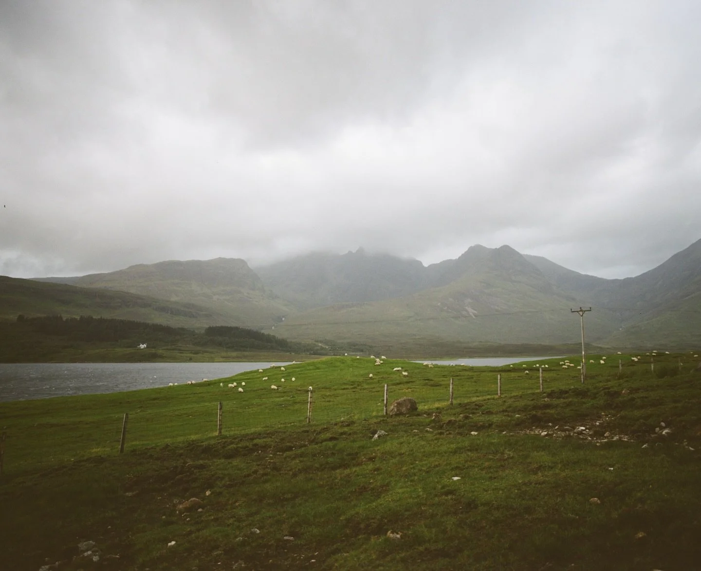 Cloudy autumn days on the island.
.
.
#mamiyarz67 #kodakgold #120 #6x7 #isleofskye