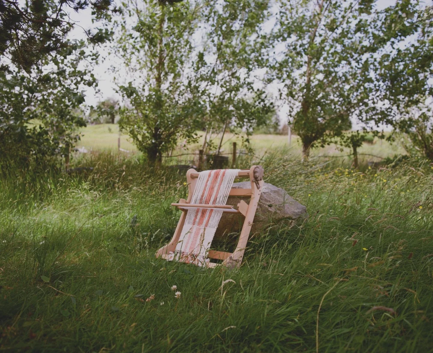 Remember when it was warm enough to sit outside, dying wool and weaving? 🌾