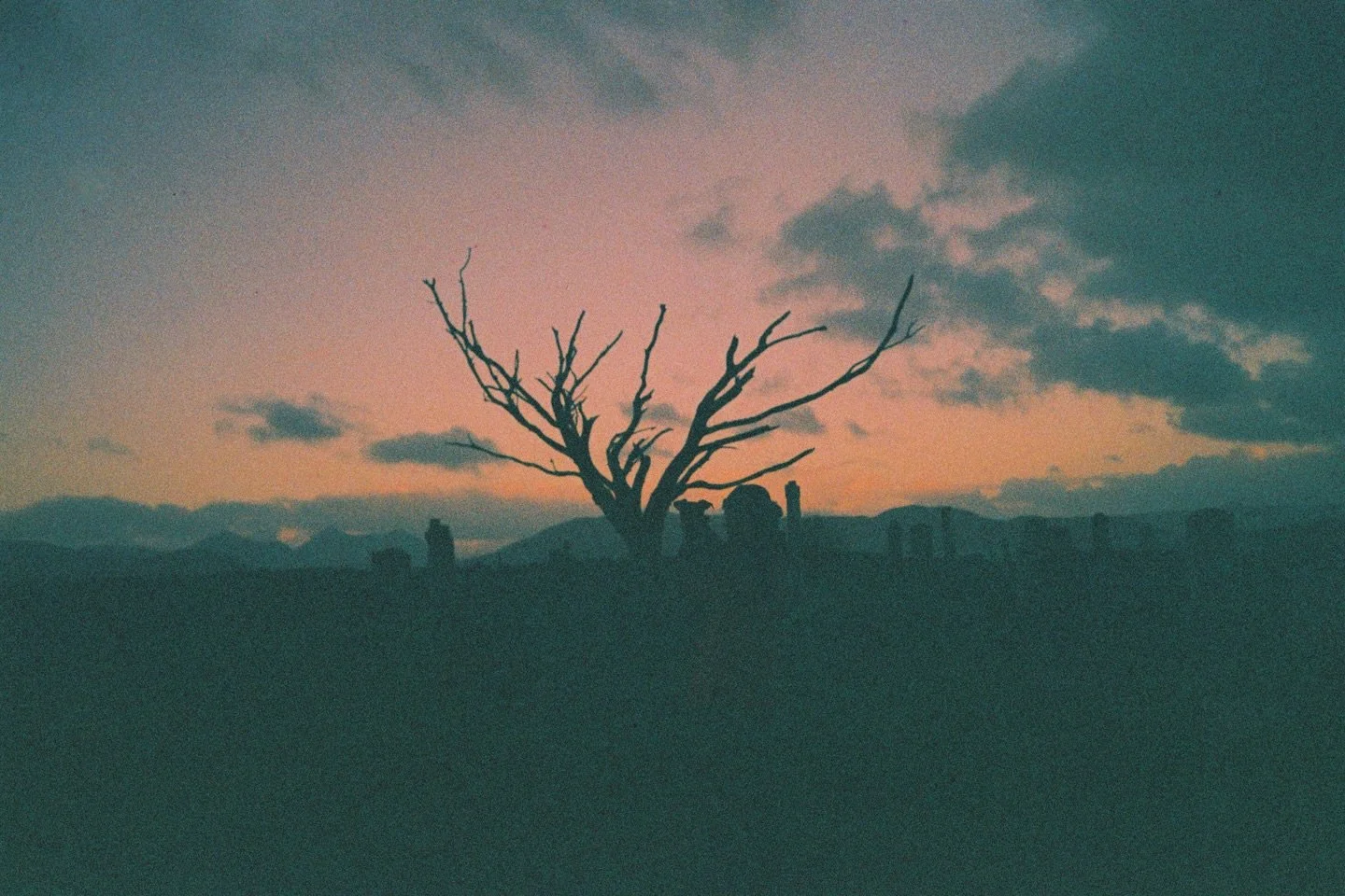 Pink skies &amp; grain.