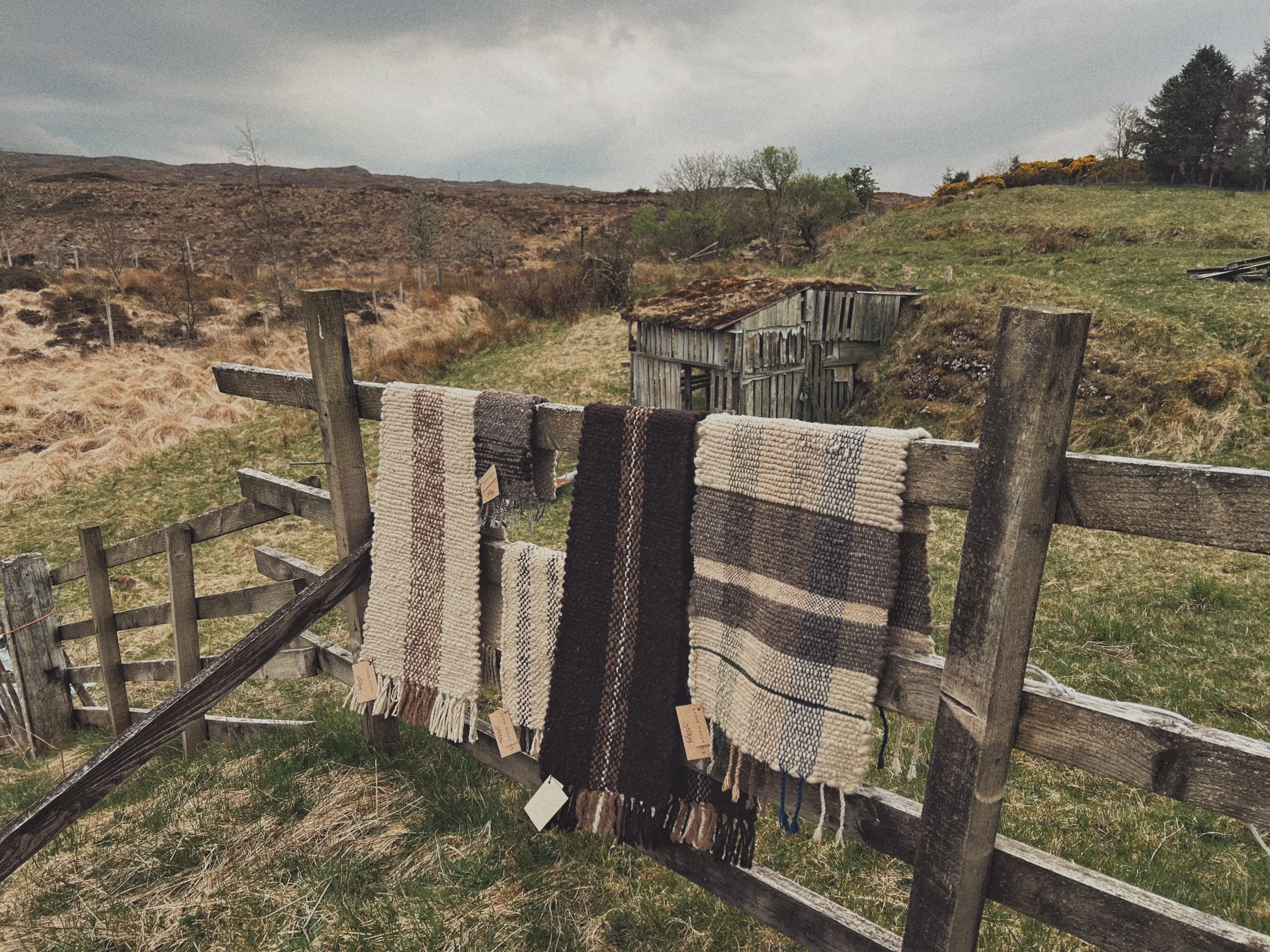 Photo 12-04-2025, 6 40 52 pm.jpg