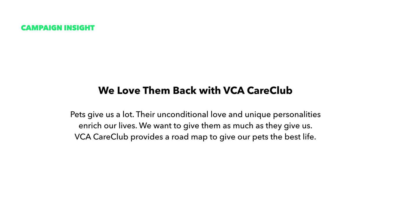 VCAArtboard-7.png