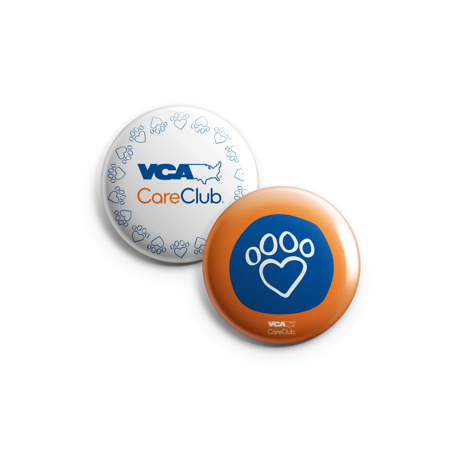 VCA_Pins_final.png