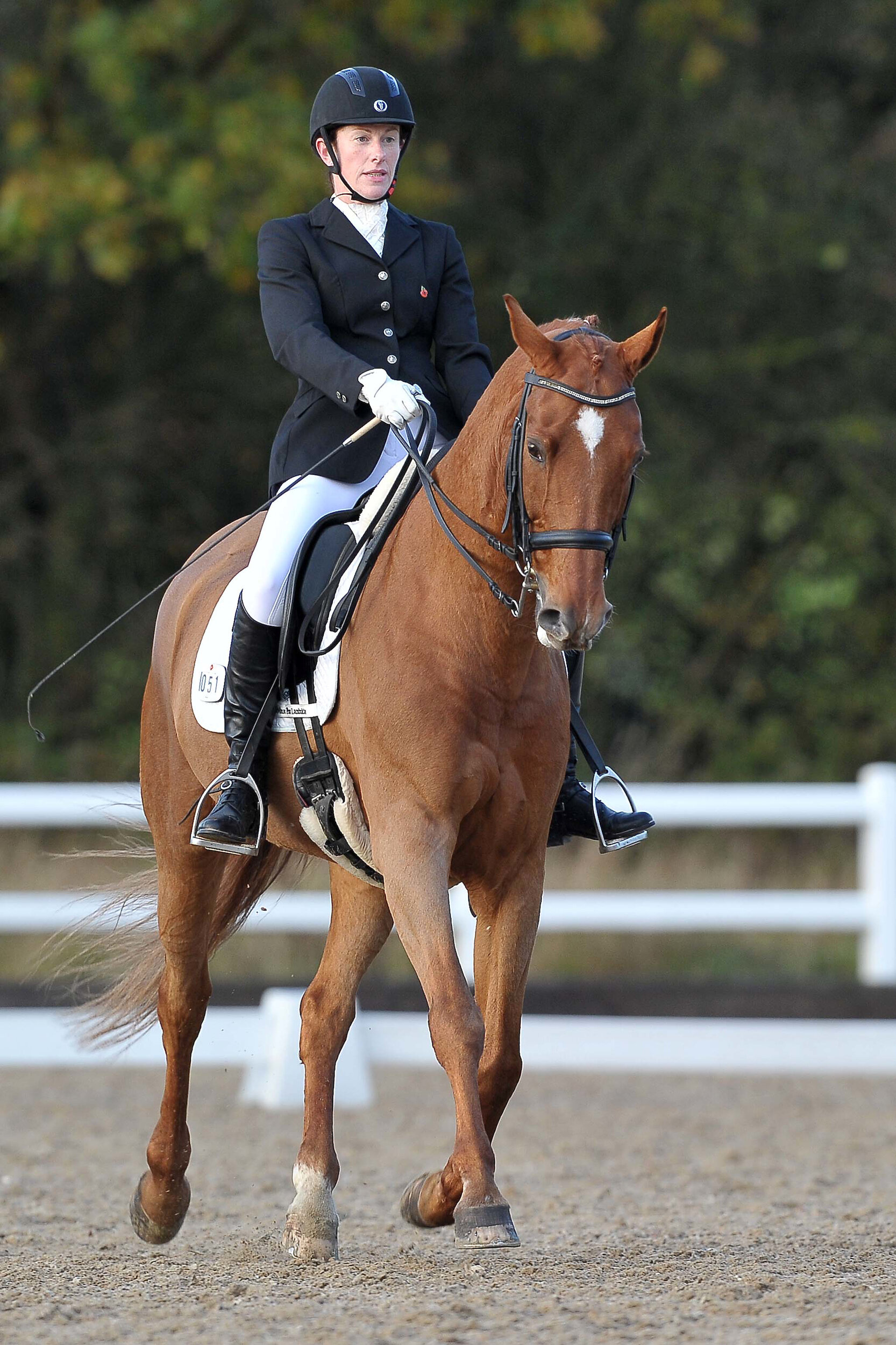 Lyndsey Adamson Advanced Medium Dressage.jpg