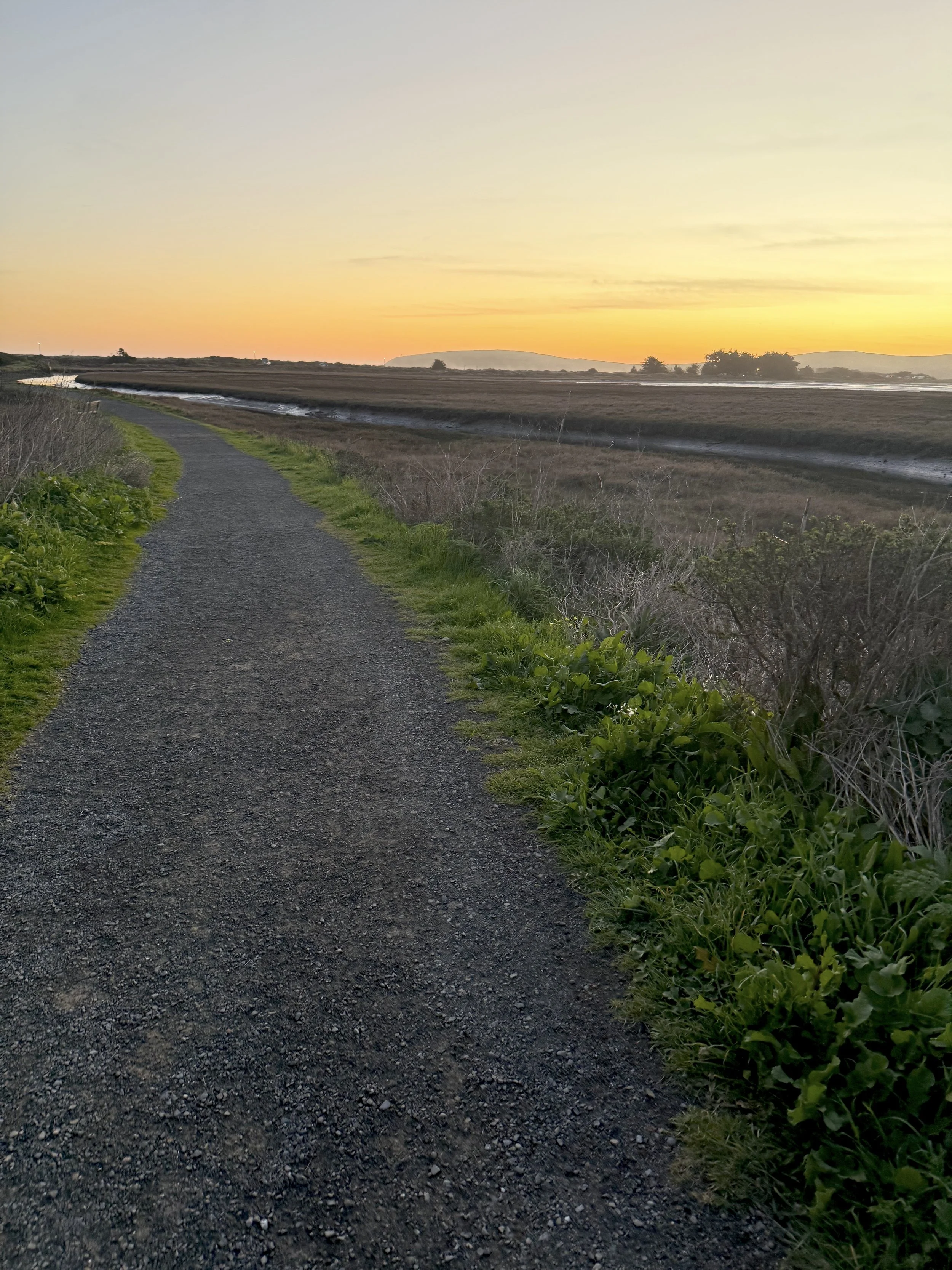 Playing the long game.