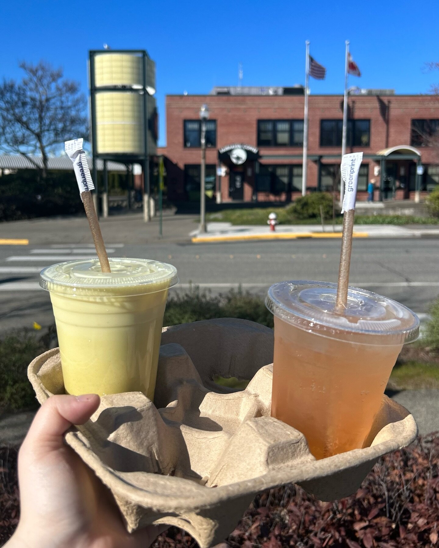 ☀️ walk to Marine Park with a #fairhavencoffee drink in hand kind of day.