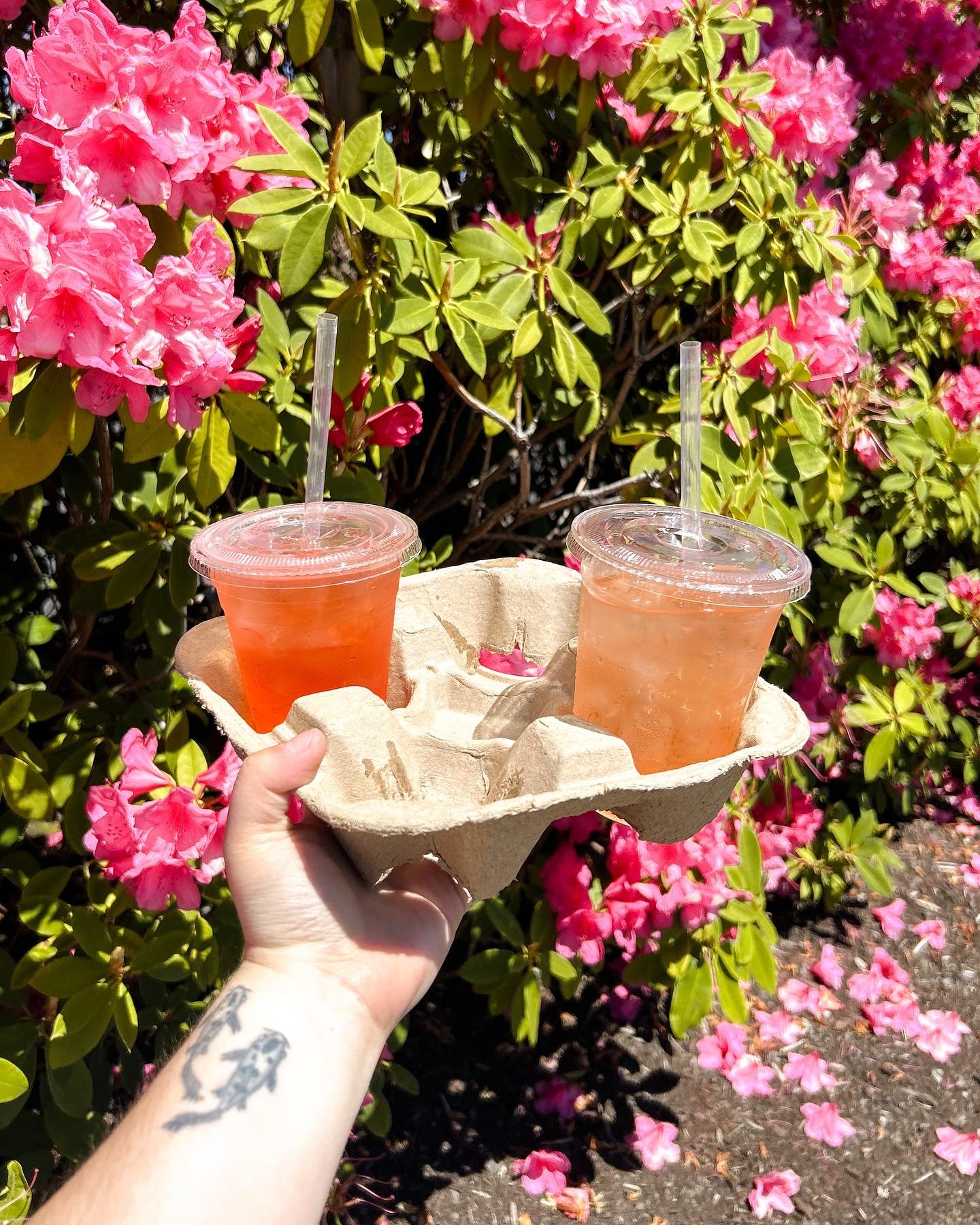 Happy strawberry season!! Treat yourself with a strawberry Red Bull or strawberry lemonade this weekend 🍓😍🥤
☕️
☕️
☕️
☕️
#localcoffee #coffee #localcoffeeshop #independentcoffeeshop #coffeeshop #latte #lattwart #pnw #fairhaven #smallbusiness #fairh