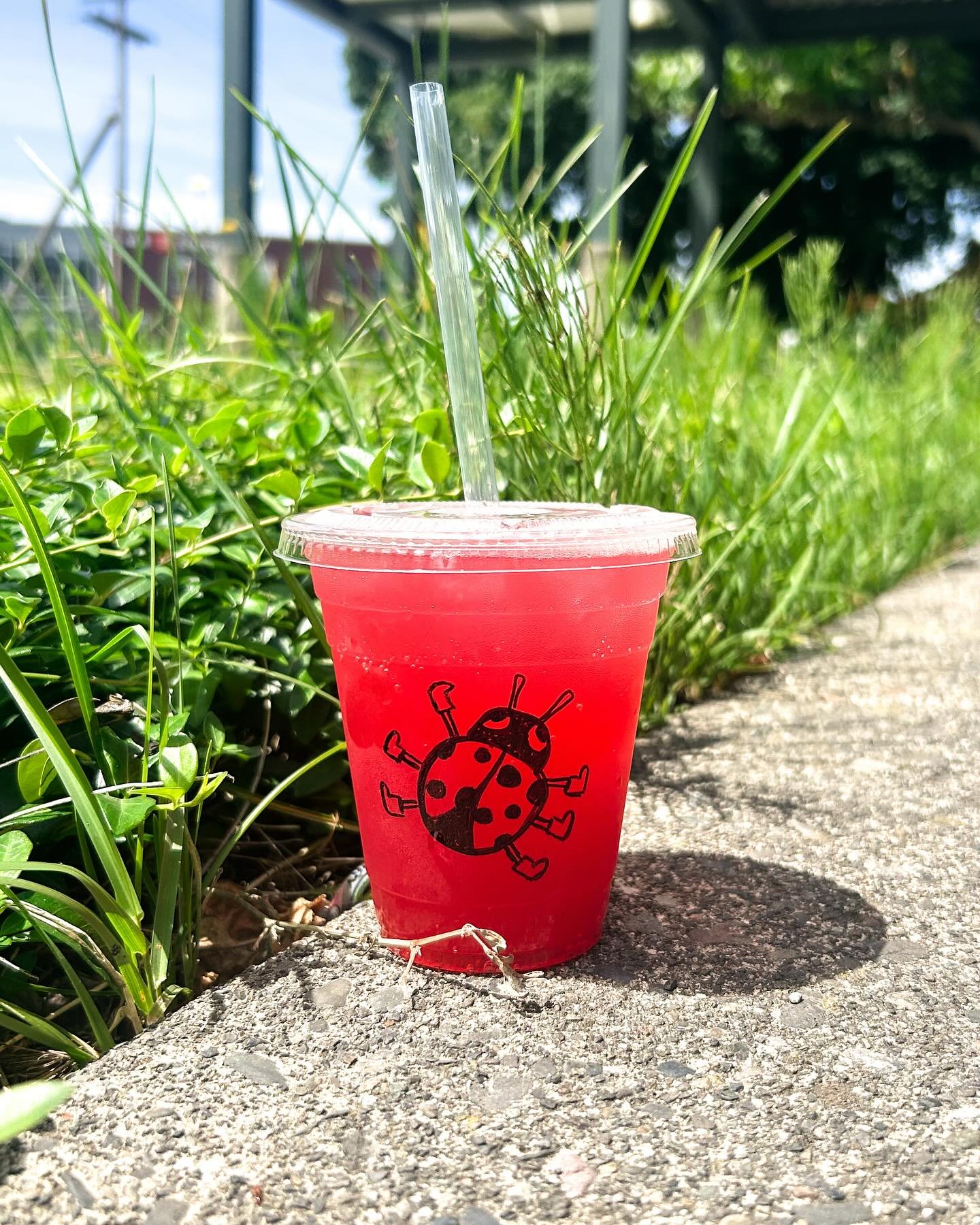 Sorry to bug ya, but have you tried a &ldquo;Red&rdquo; Red Bull from our &lsquo;Energy Era&rsquo; menu yet? It has raspberry and pomegranate and is perfect for sunny, summer afternoons❤️🐞
☕️
☕️
☕️
☕️
#localcoffee #coffee #localcoffeeshop #independe