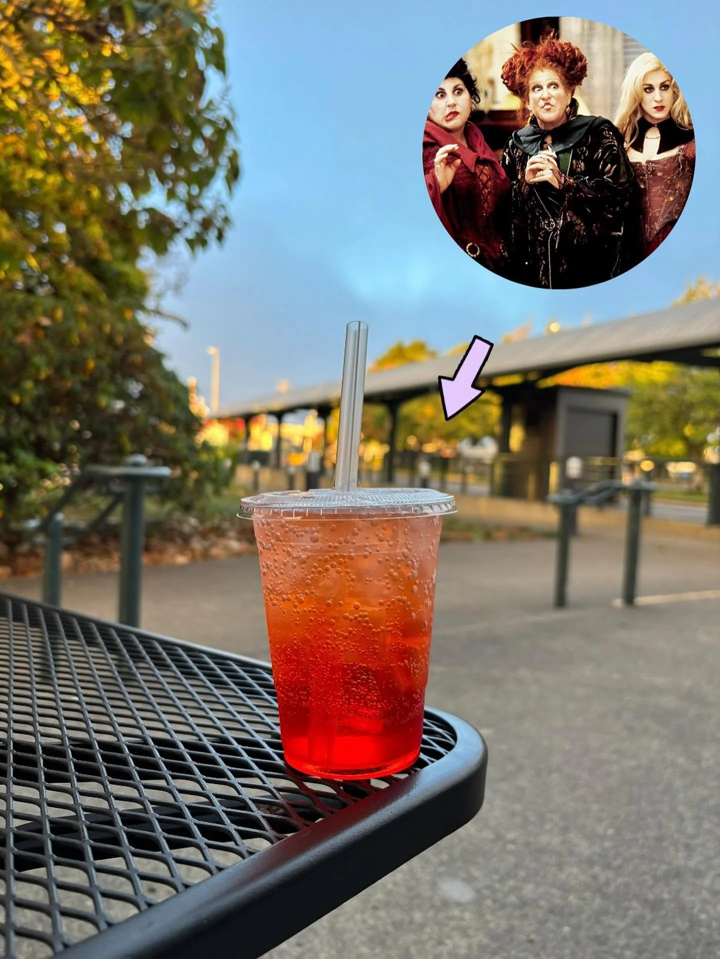 Welcome back students!!

Stop by Fairhaven Coffee for a first week of classes study boost with a seasonally on theme✨💜Hocus Pocus Lotus💜✨

That&rsquo;s white lotus with blackberry, orange and coconut flavor! 
☕️
☕️
☕️
☕️
#localcoffee #coffee #local