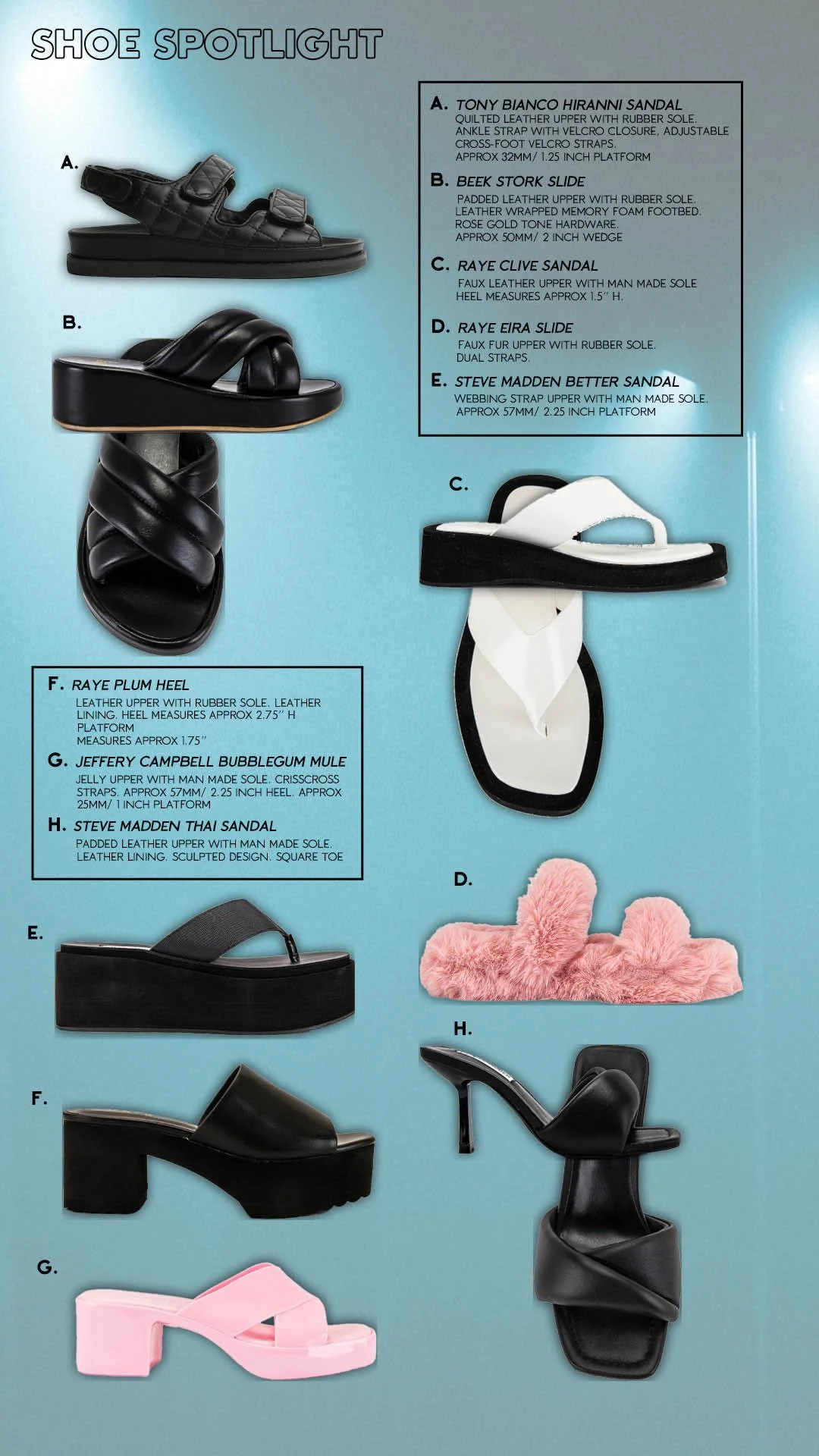 shoe potlight copy.jpg