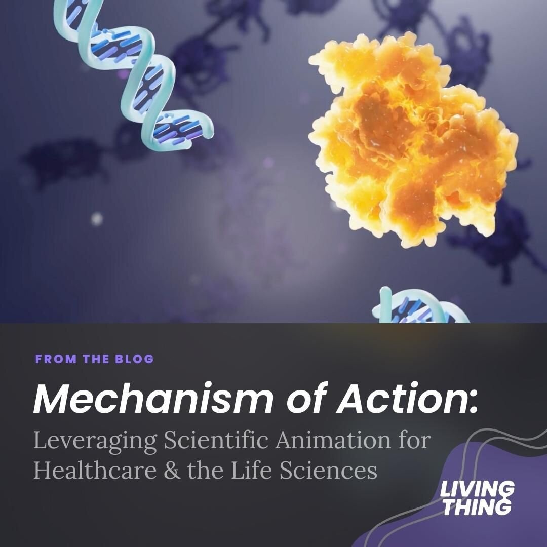 Have you ever wondered how drugs and treatments work at a molecular level? 🤔

Check out our latest blog post to explore the fascinating world of mechanism of action medical animations! These visual tools are designed to simplify complex scientific c