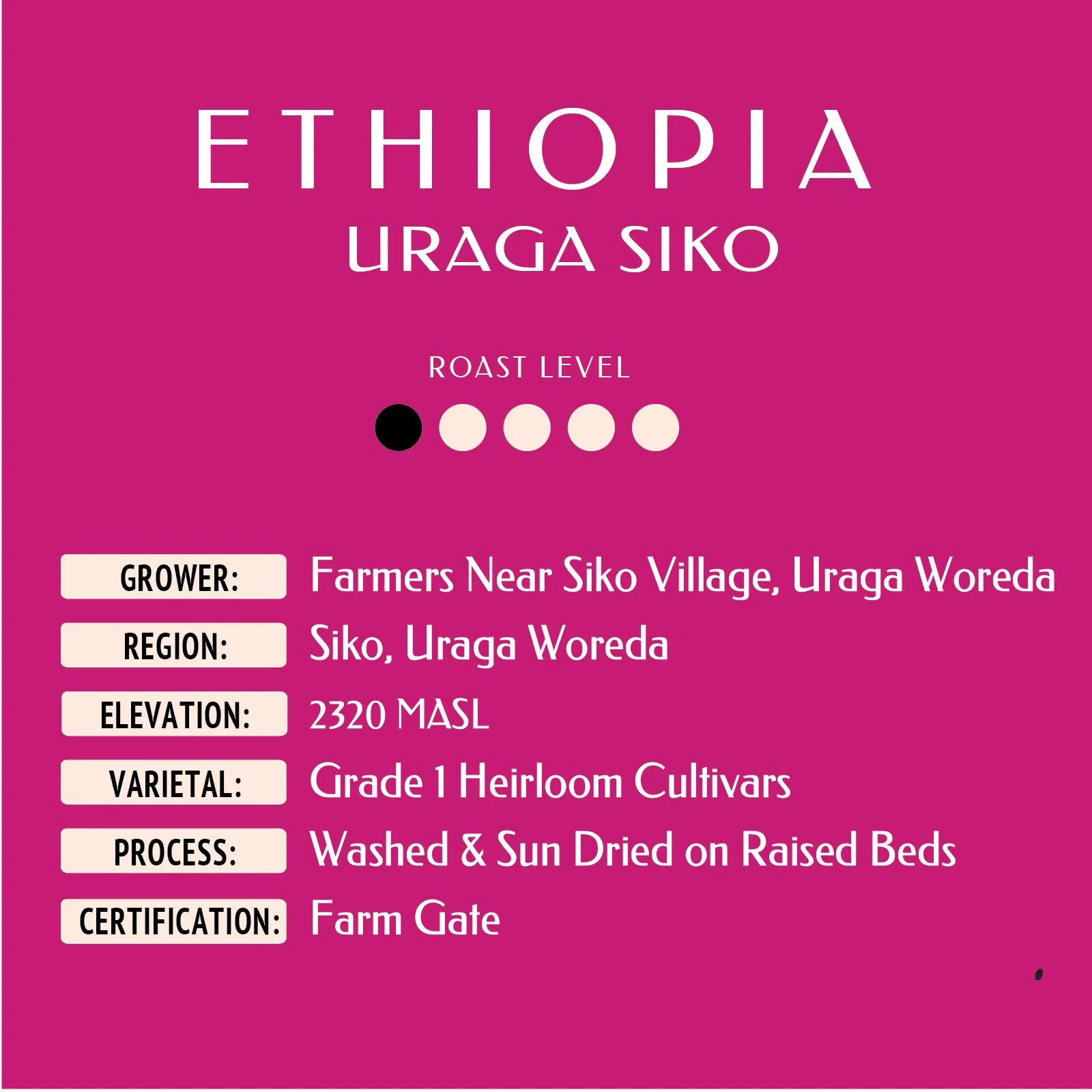 ETHIOPIA URAGA SIKO Web label .jpg