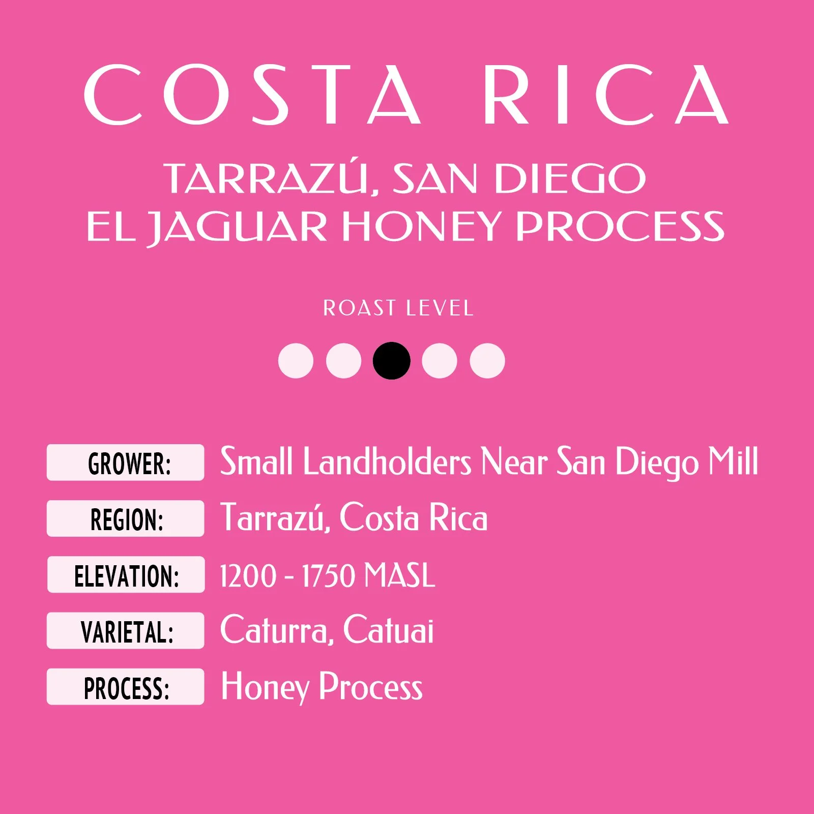 COSTA RICA TARRAZÚ, SAN DIEGO Web label.jpg