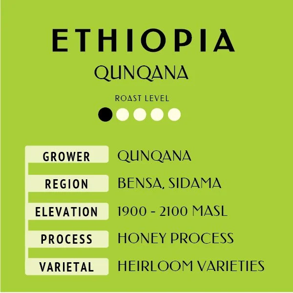 Ethiopia QunqanaWeb label master-51.jpg