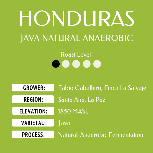 Honduras Java Natural web.png