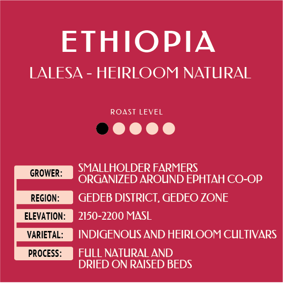 Ethiopia Lelesa.png