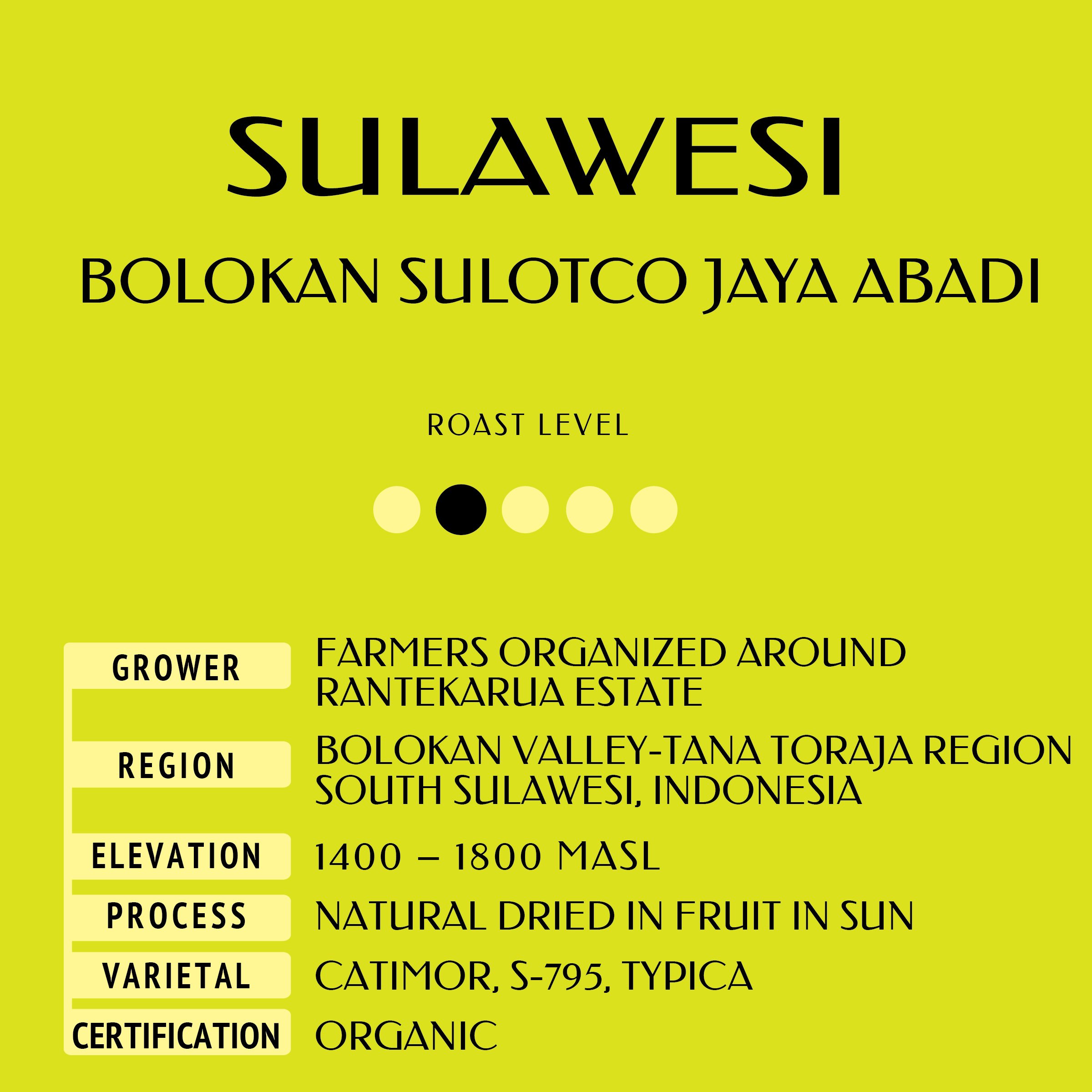 SULAWESI BOLOKAN SULOTCO JAYA ABADI Web label.jpg