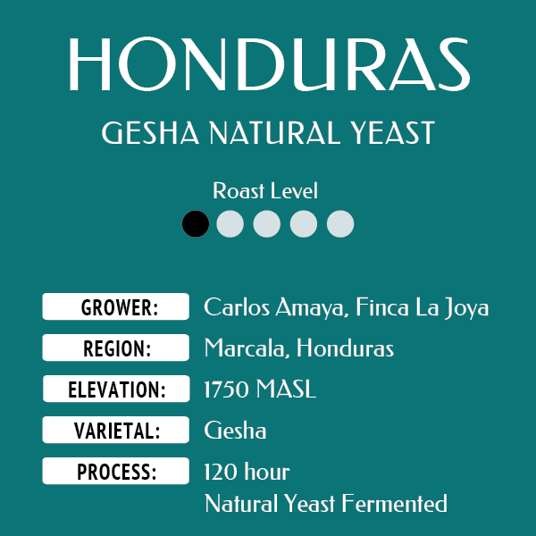 Honduras Gesha Web.png