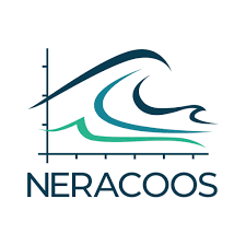 Logo of Neracoos featuring stylized waves and the company name.