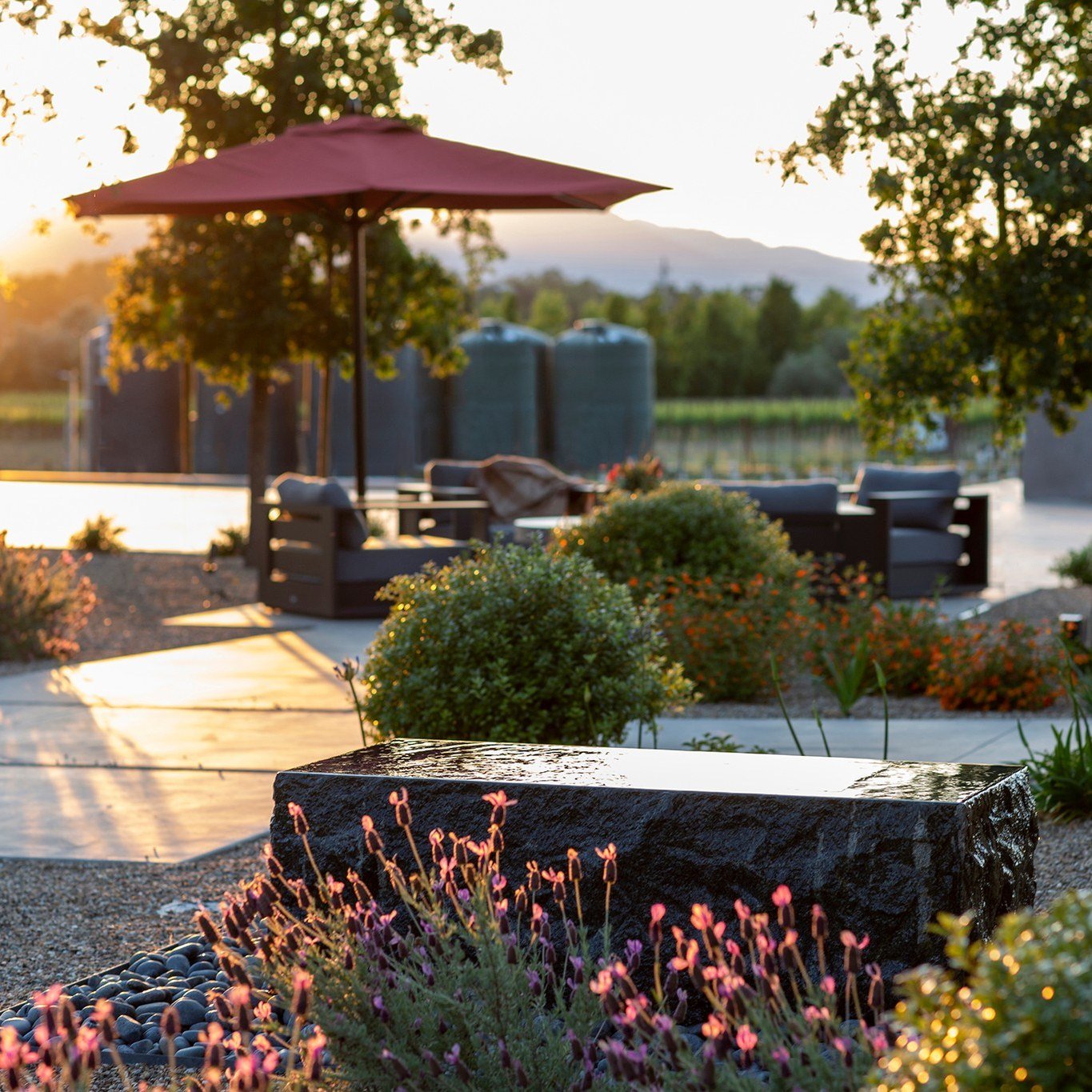The @sevenapart winery property is welcoming and wonderful thanks to landscape architect @ericblasen_landscape_architect  with numerous water features and wild florals. The custom shade structure designed by #shawbackdesign casts a unique shadow on t