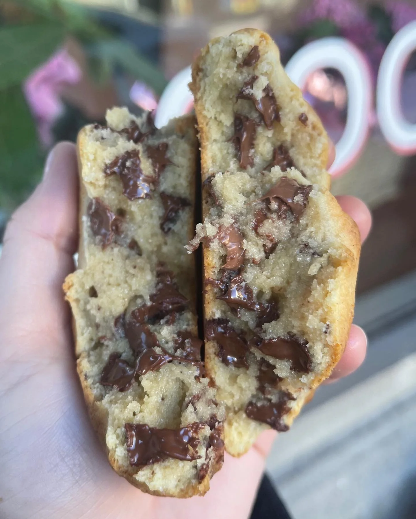 The BEST cookies ever @feedthecheeks another great place in Wayland Square #waylandsquareprovidence #foodie #chocolatechipcookies #yum #foodporn #providenceri