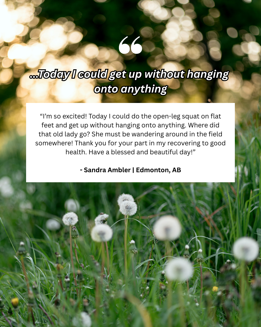A quote about being able to get up without hanging onto anything, superimposed over a blurred background of sunlight through trees, with a foreground of dandelions in a grassy field.