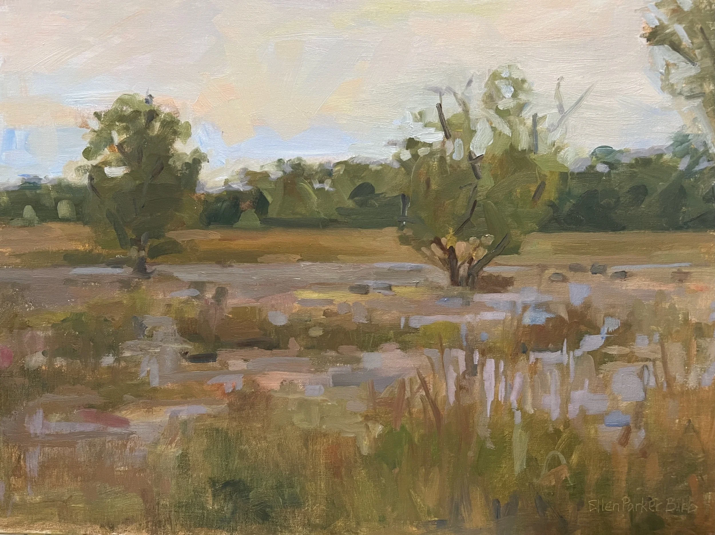 EllenParkerBibb_18x24_WingstoWetlands.jpeg