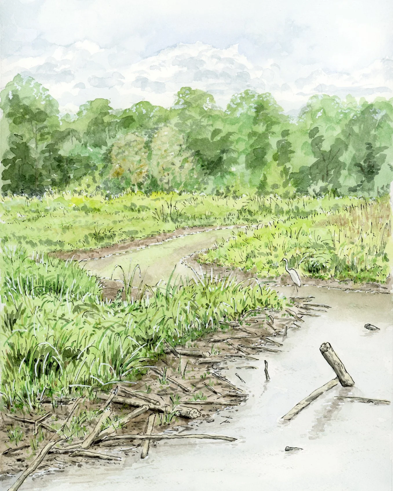CamDolak_LowWaterHiddenPond.jpg