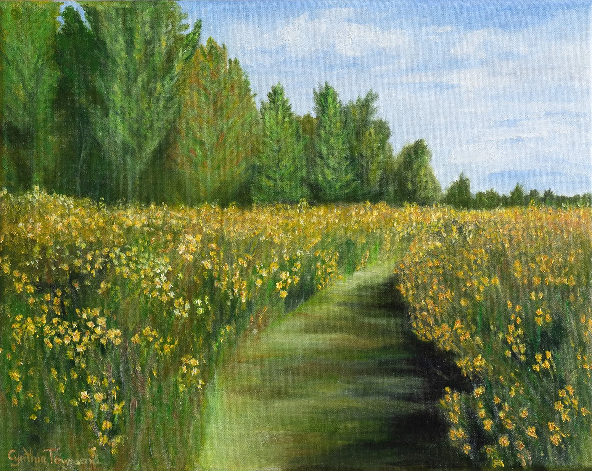 CynthiaTownsend_PathofWildflowers.jpg