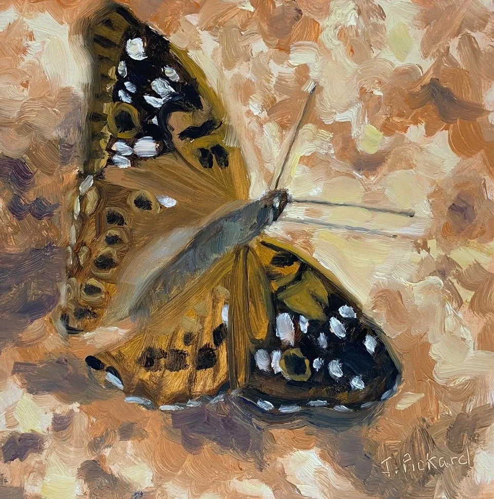 JeannePickard_ShelbyButterfly_6x6_oil_$400.jpeg