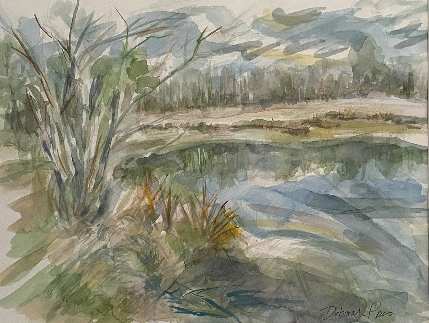 DeborahPipes_DuckPondinWinter#ColorsOfShelby.jpg