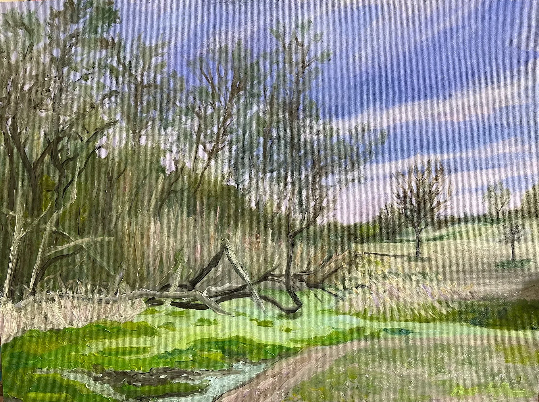 DeniseSLandscape.jpeg