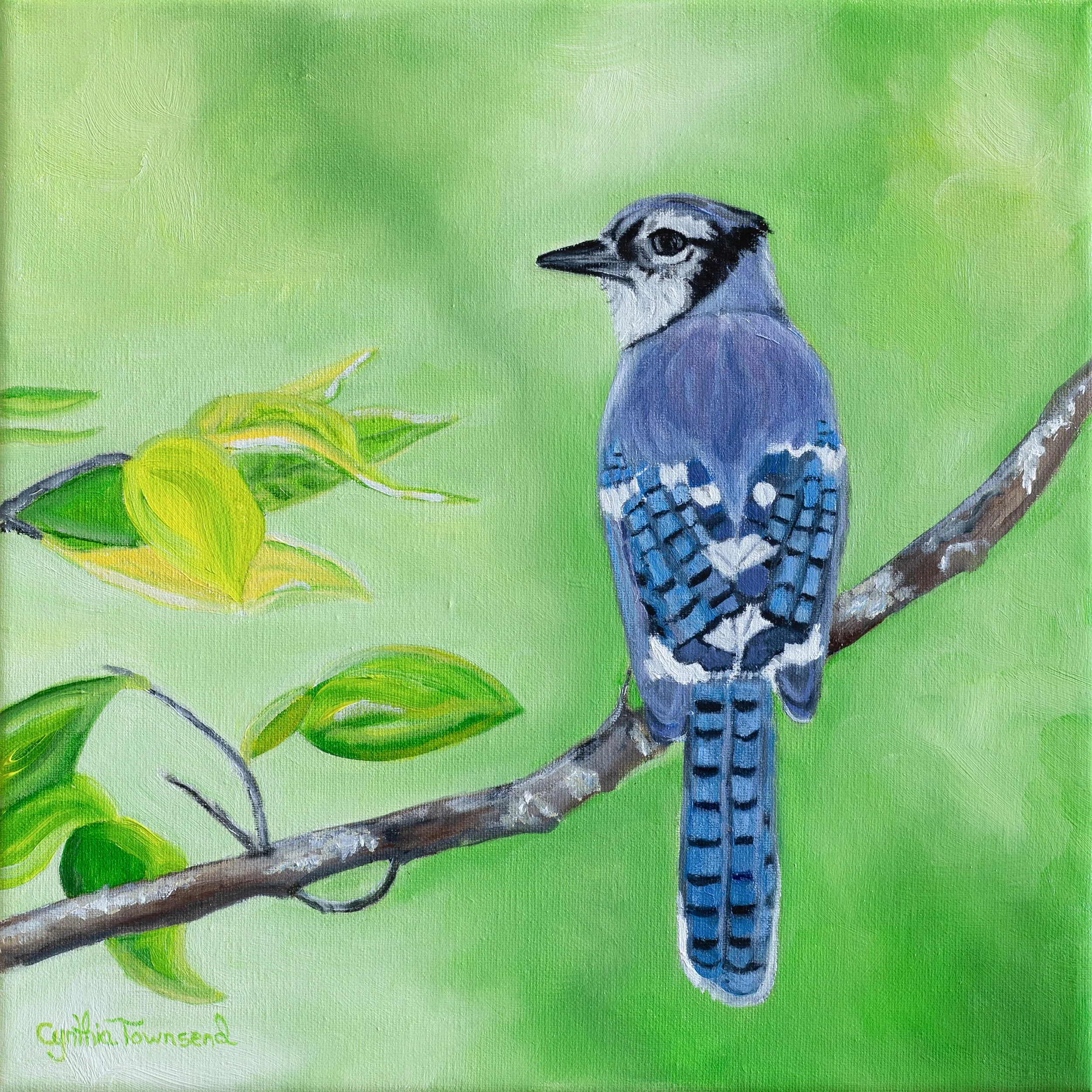 CynthiaTownsend_BlueJay.jpg