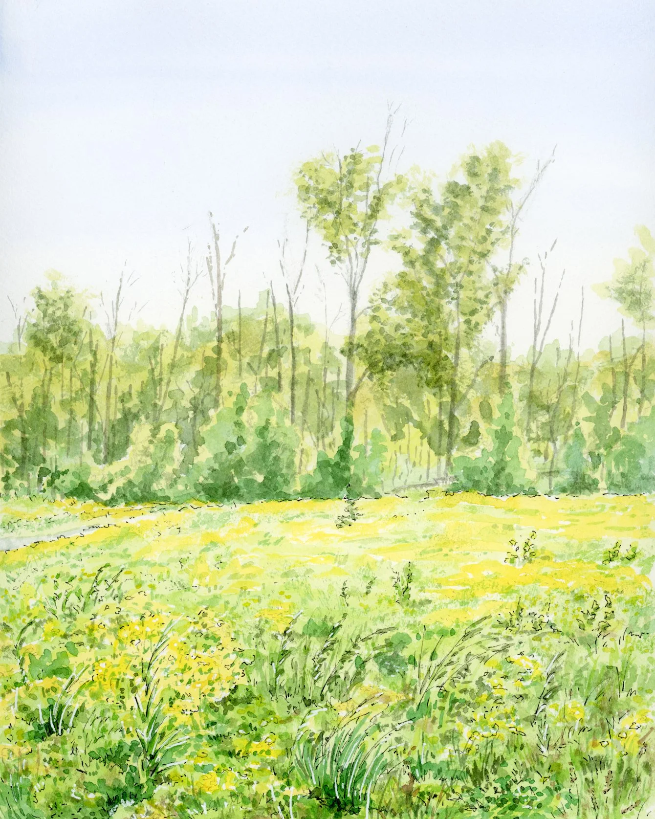 CamDolak_EarlySeptember-1.jpg