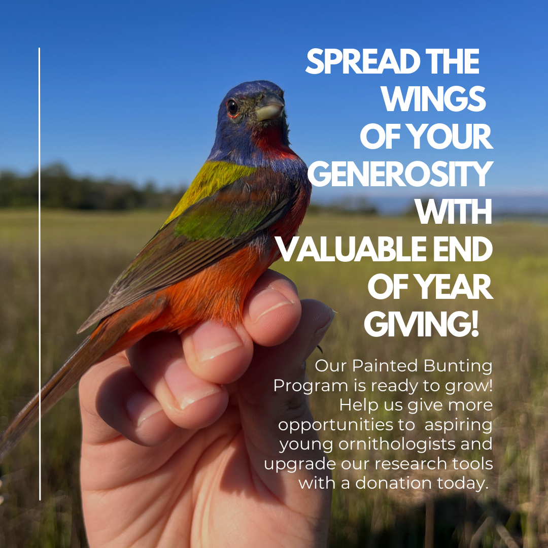End of year giving